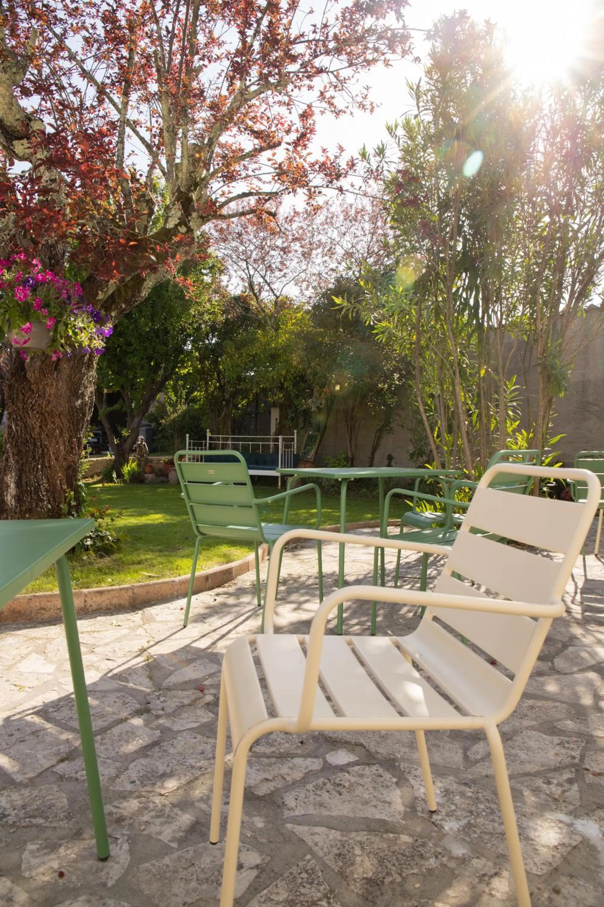 Garden in Maison et table d'hôtes Le Camélia Blanc