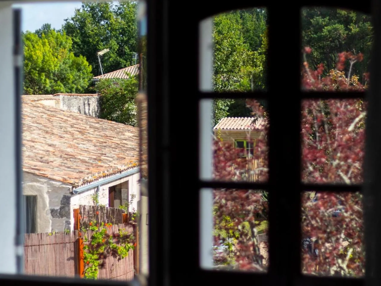 Garden view in Maison et table d'hôtes Le Camélia Blanc