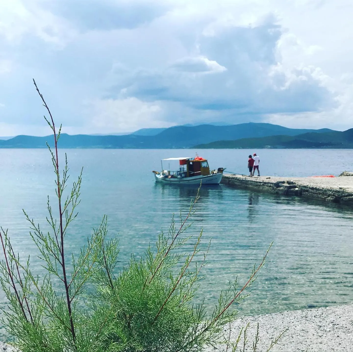 Sea view in EVIA DREAM FAMILY APARTMENTS