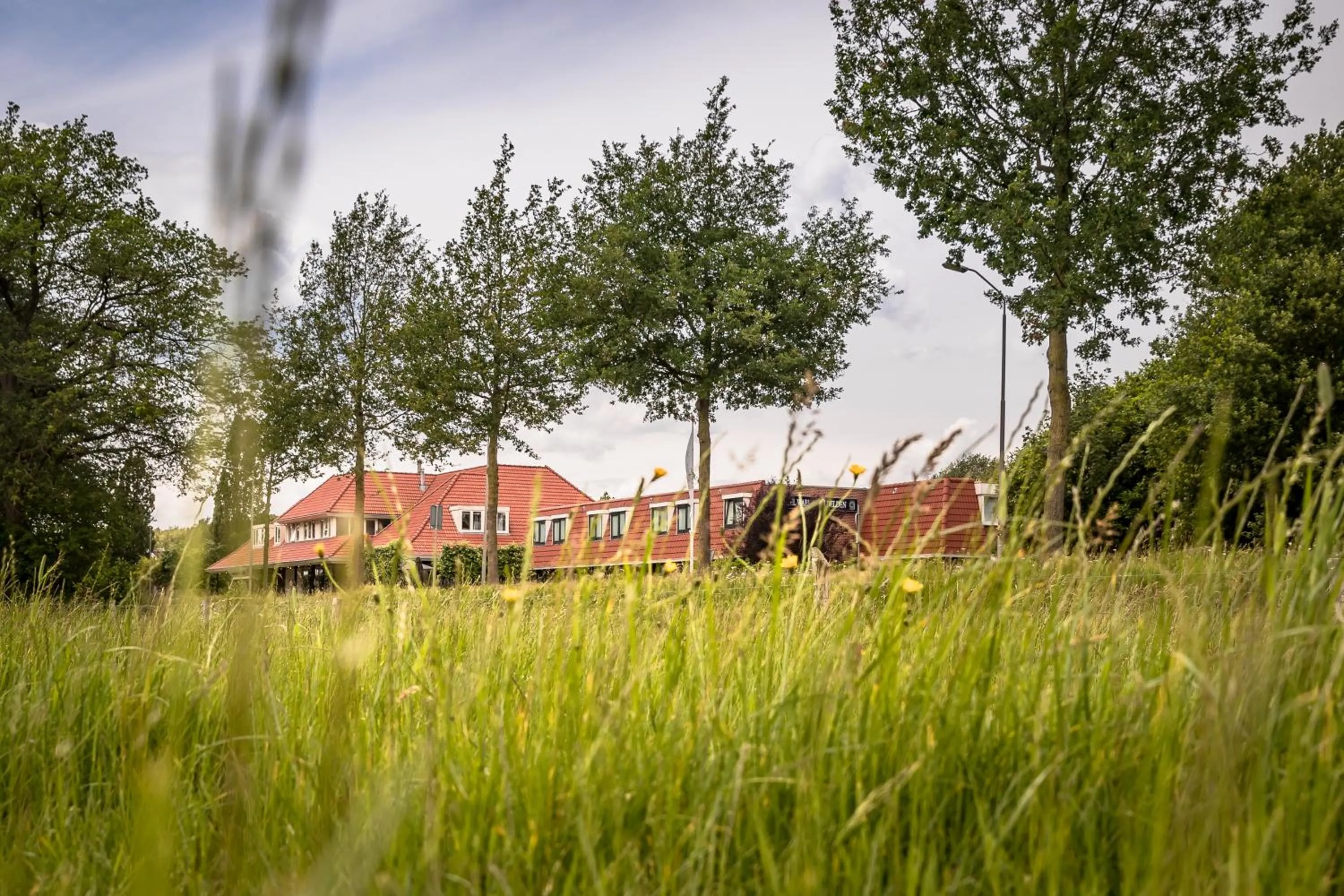 Natural landscape in Hotel Wapen van Delden