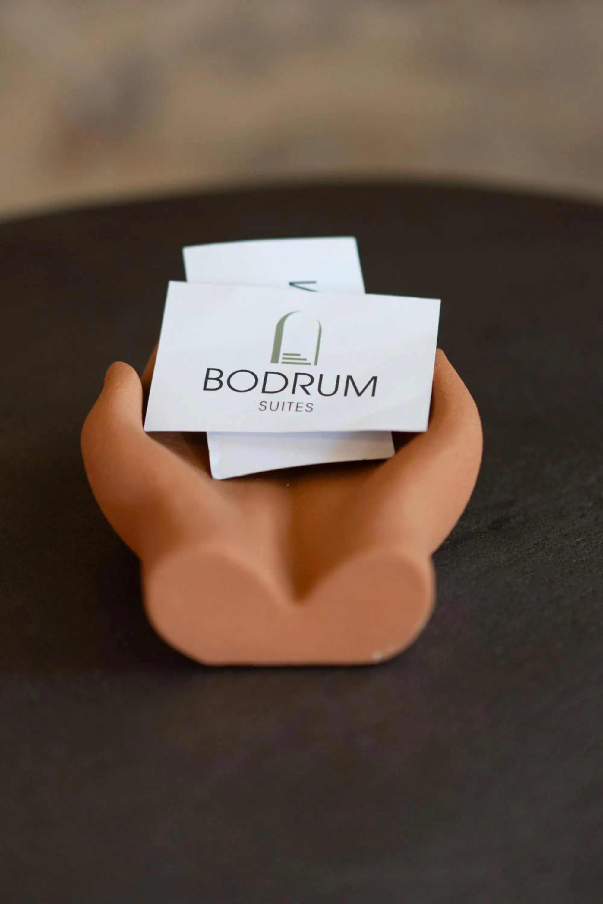 Property logo or sign in Bodrum Suites