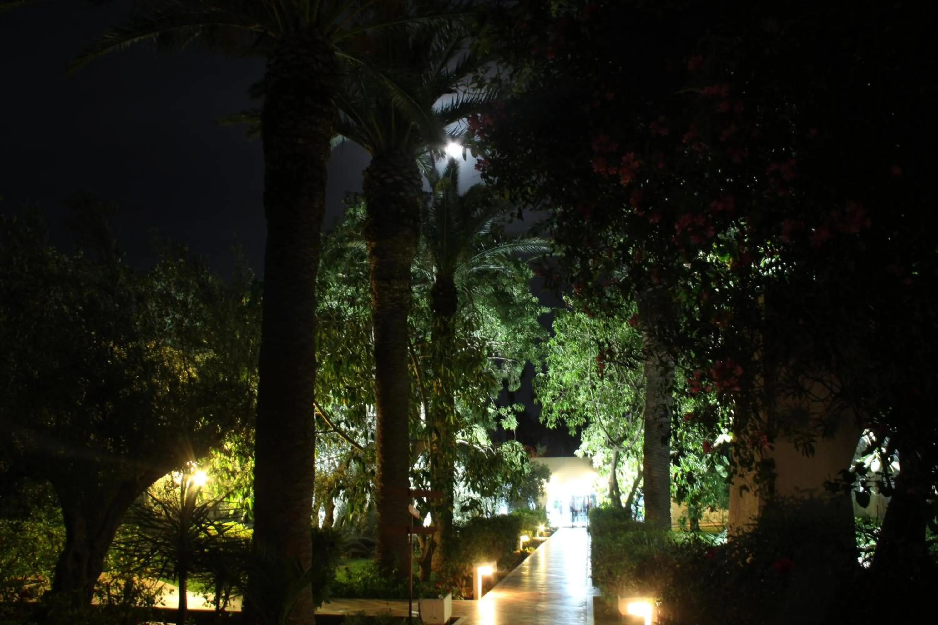 Le Hammamet Hôtel & Spa