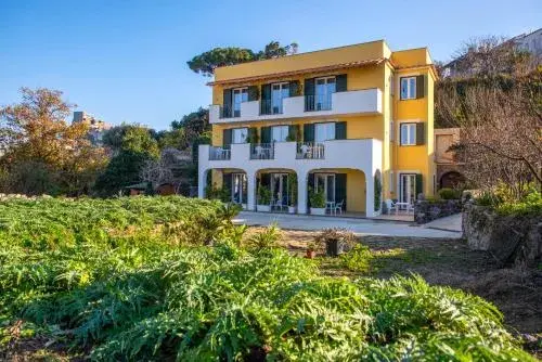 B&B La Vigna - Ischia Ponte B&B La Vigna - Ischia Ponte