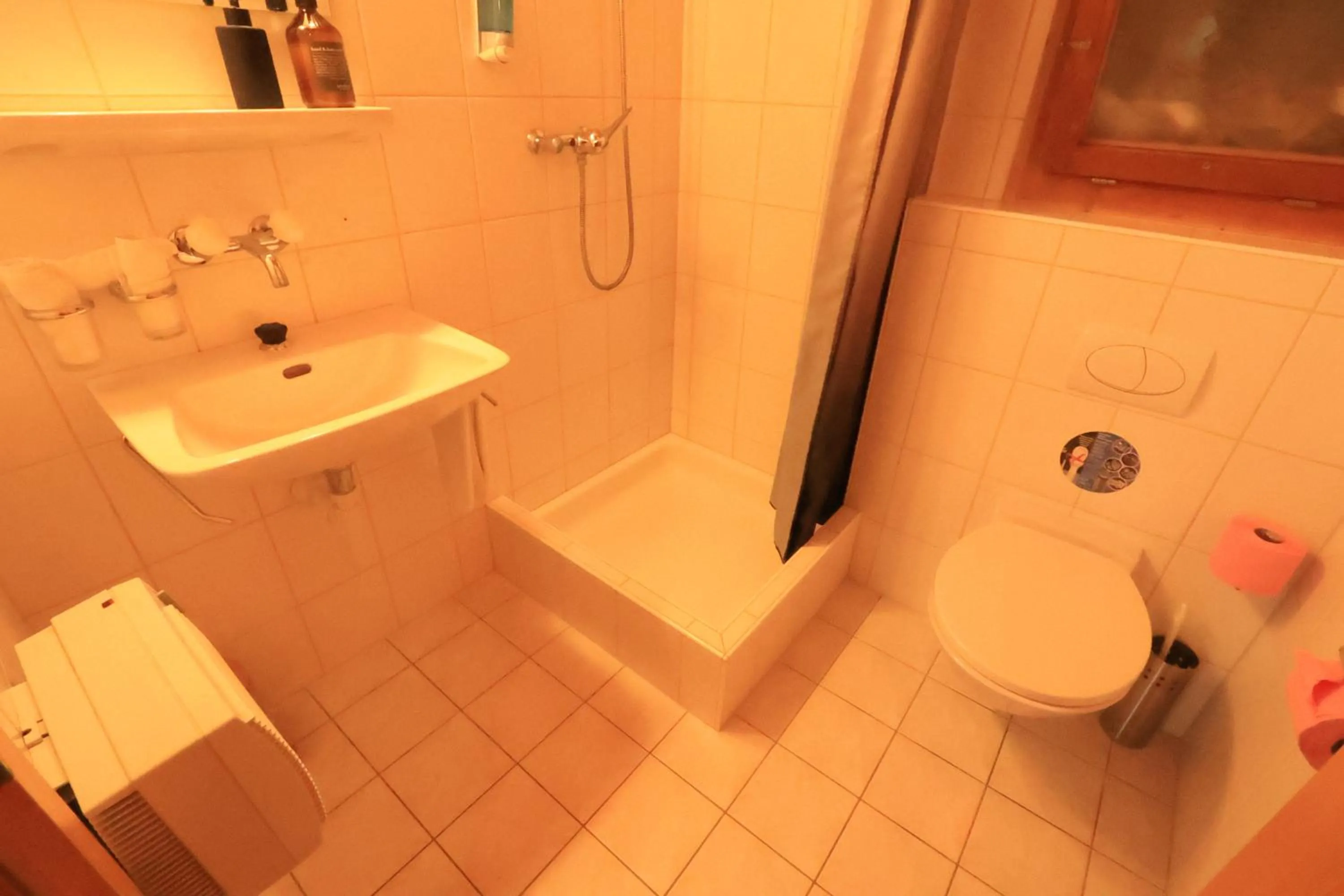 Hotel Wildbach Brienz