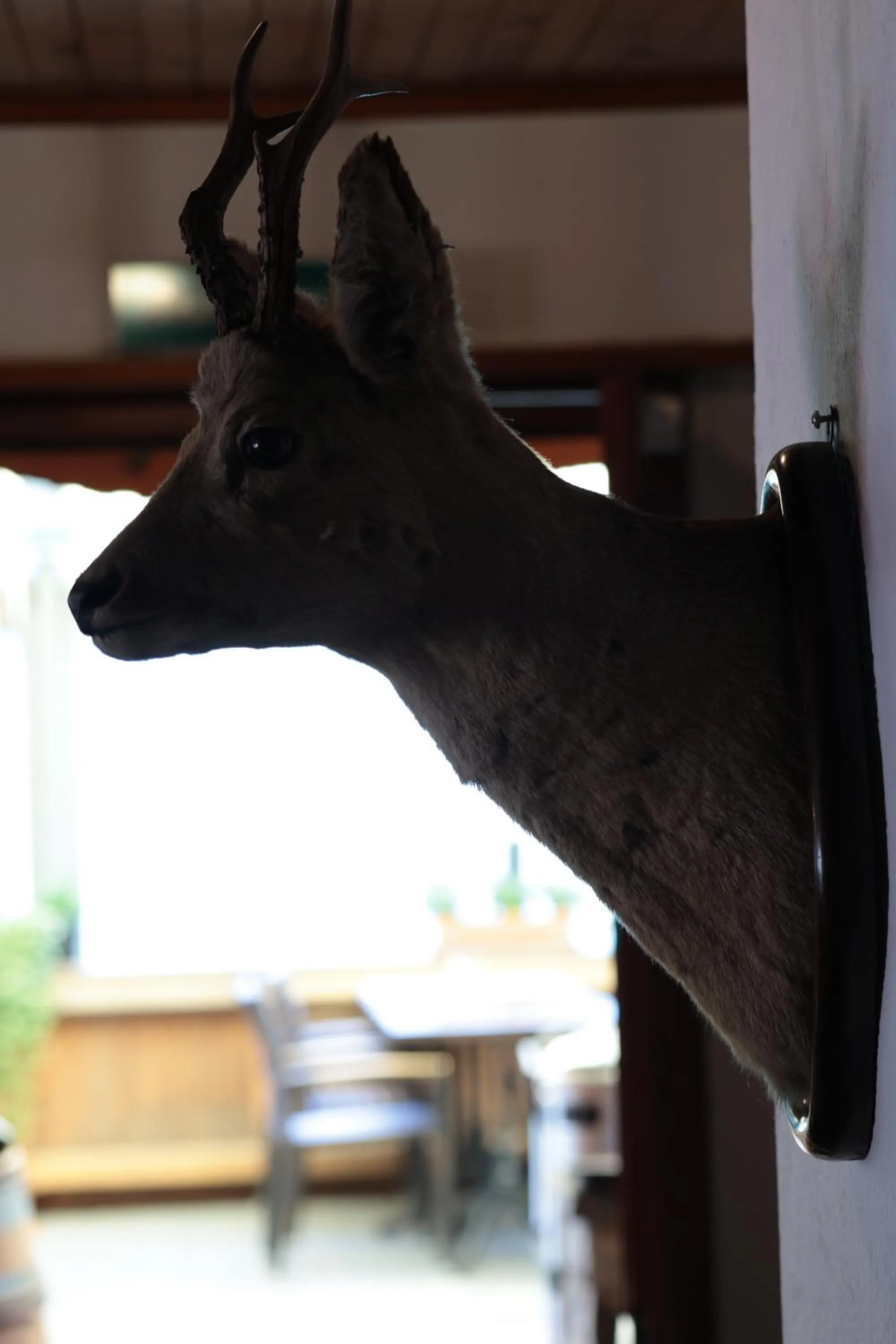 Hotel Wildbach Brienz