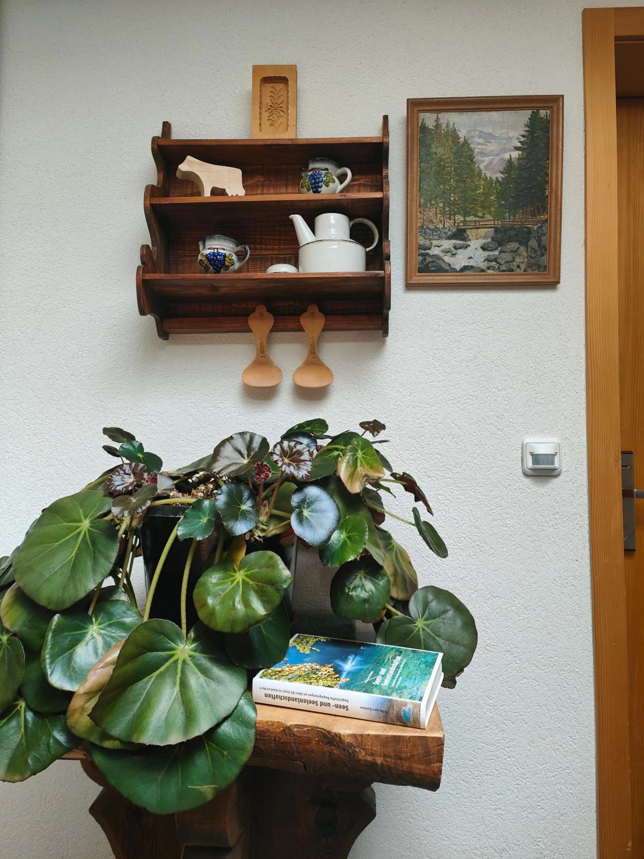 Hotel Wildbach Brienz