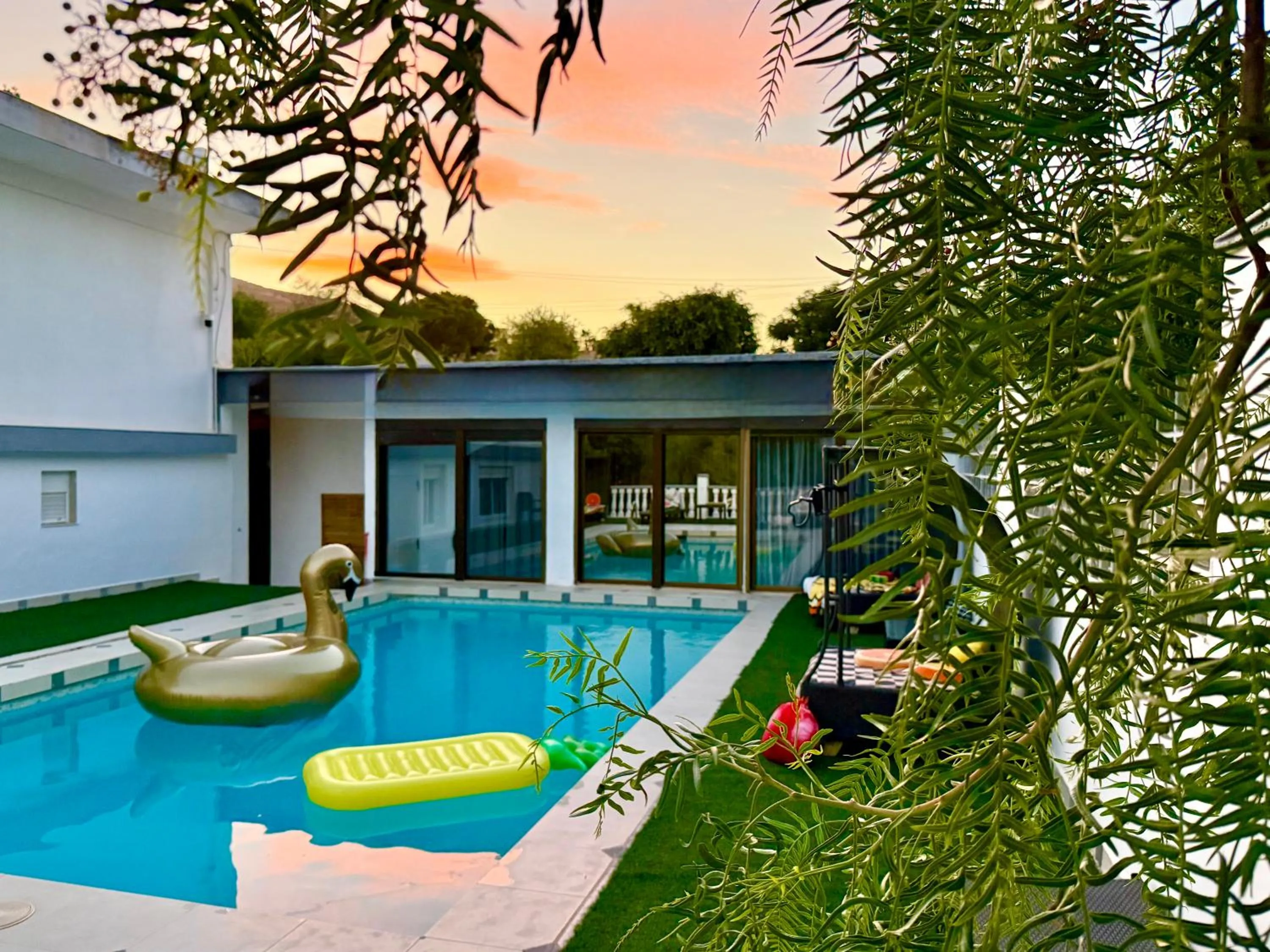 Kiwidestiny Alicante