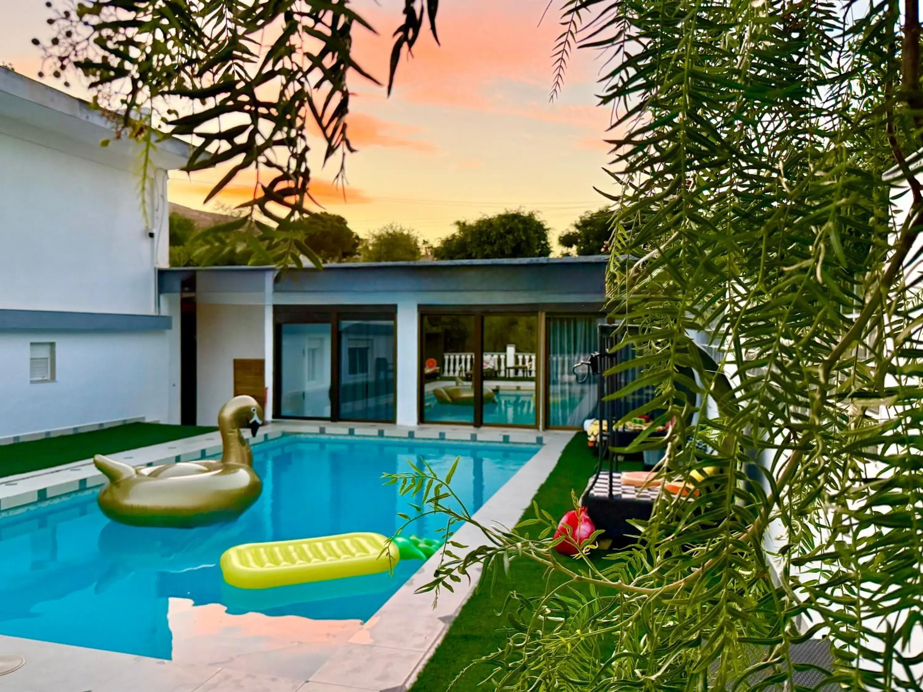 Kiwidestiny Alicante Kiwidestiny Alicante