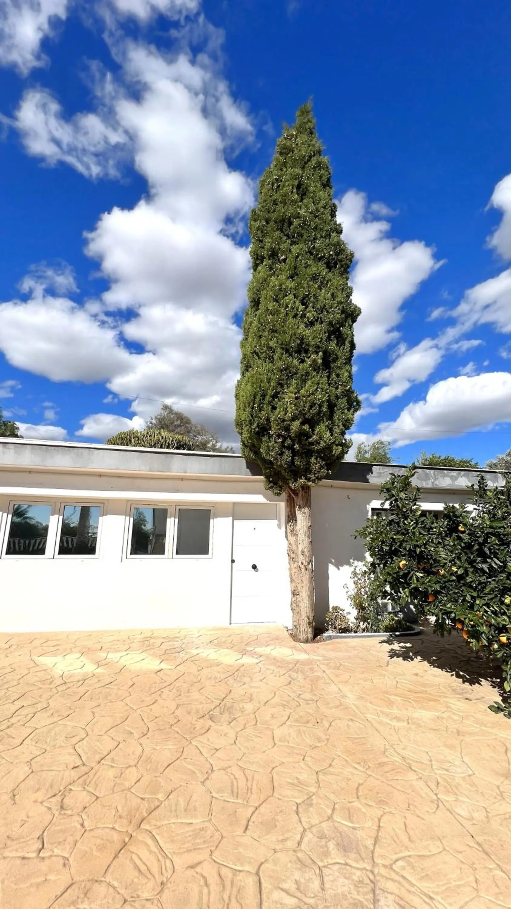 Property building in Kiwidestiny Alicante