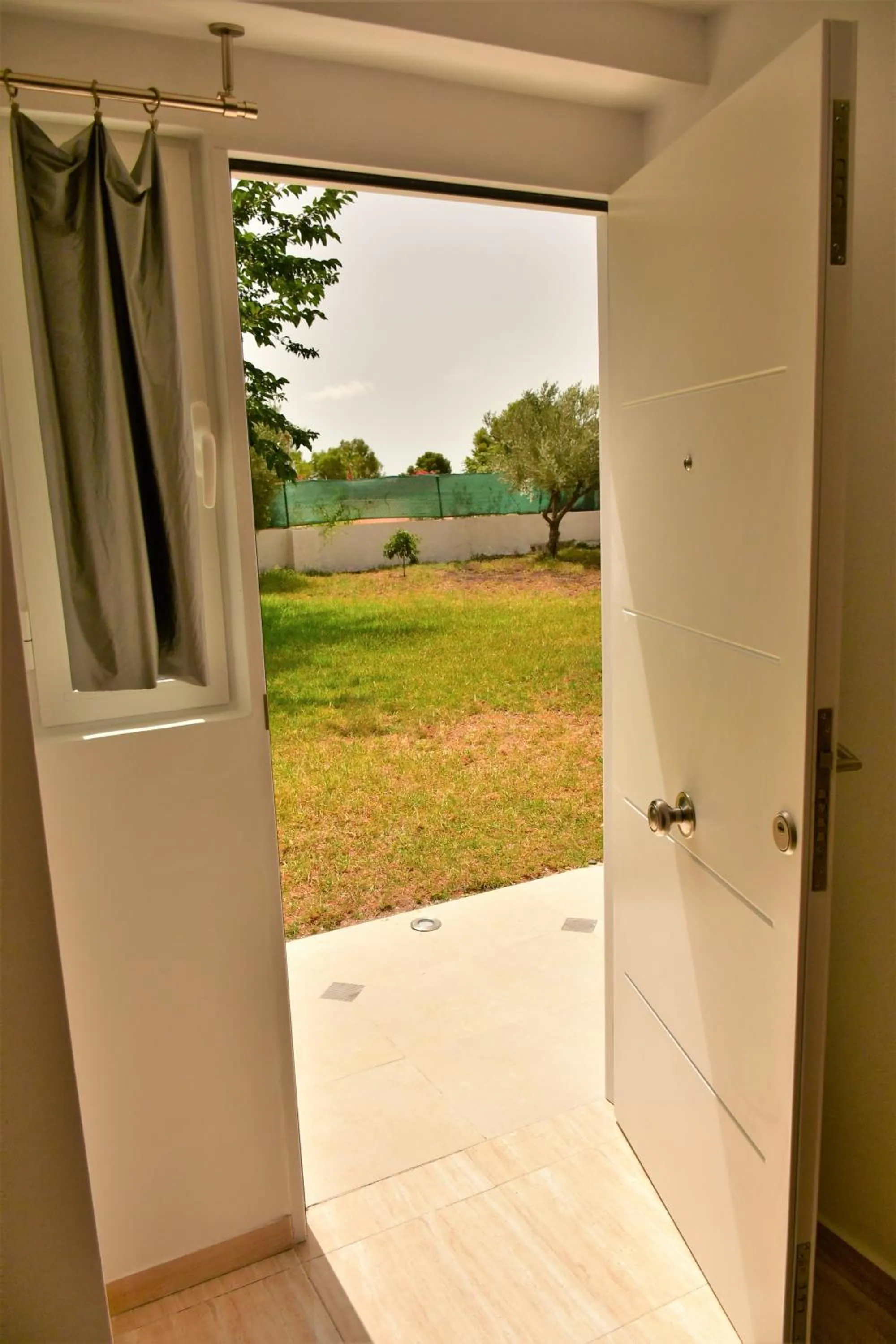 Day in Kiwidestiny Alicante