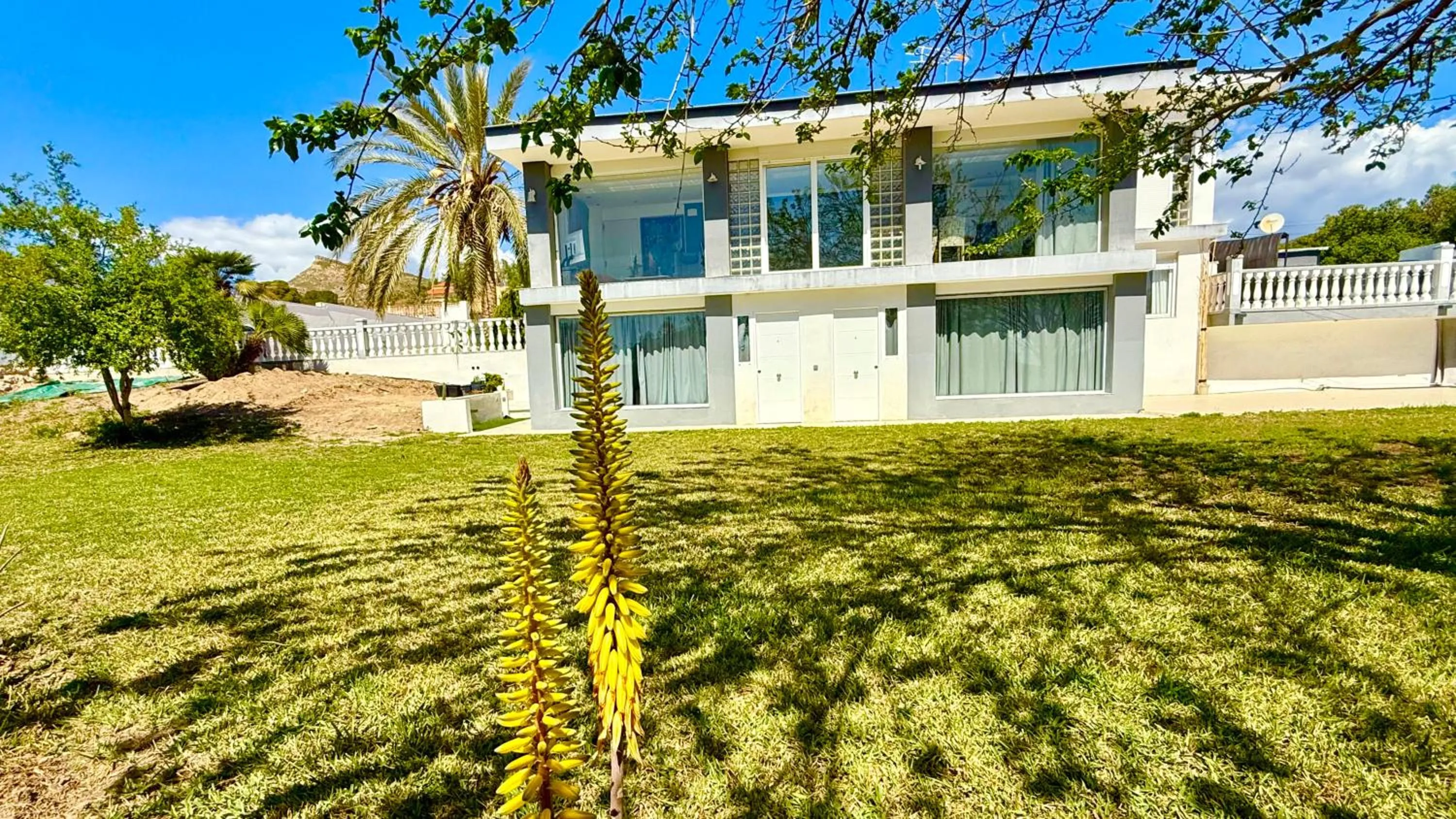 Property building in Kiwidestiny Alicante