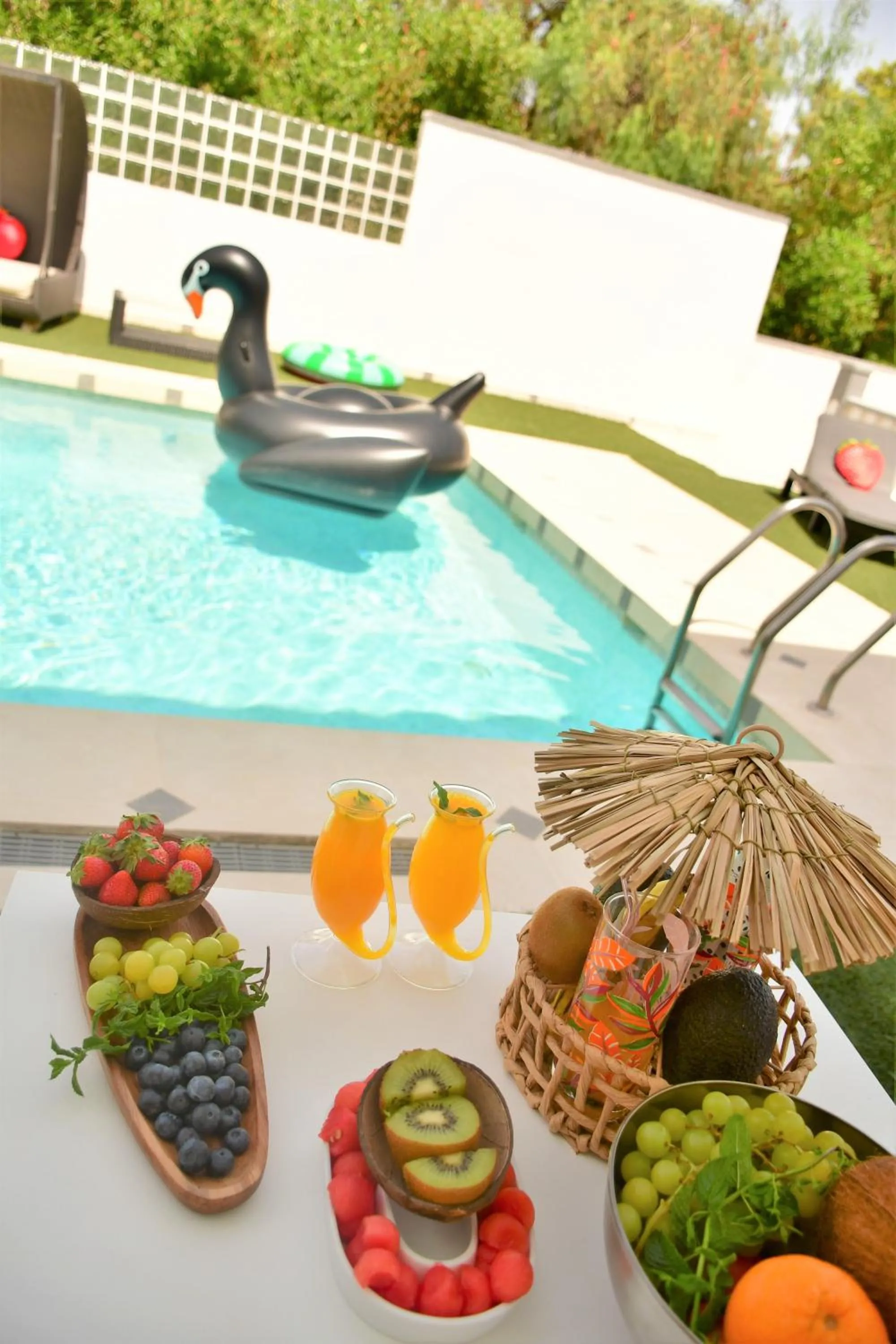 Day in Kiwidestiny Alicante