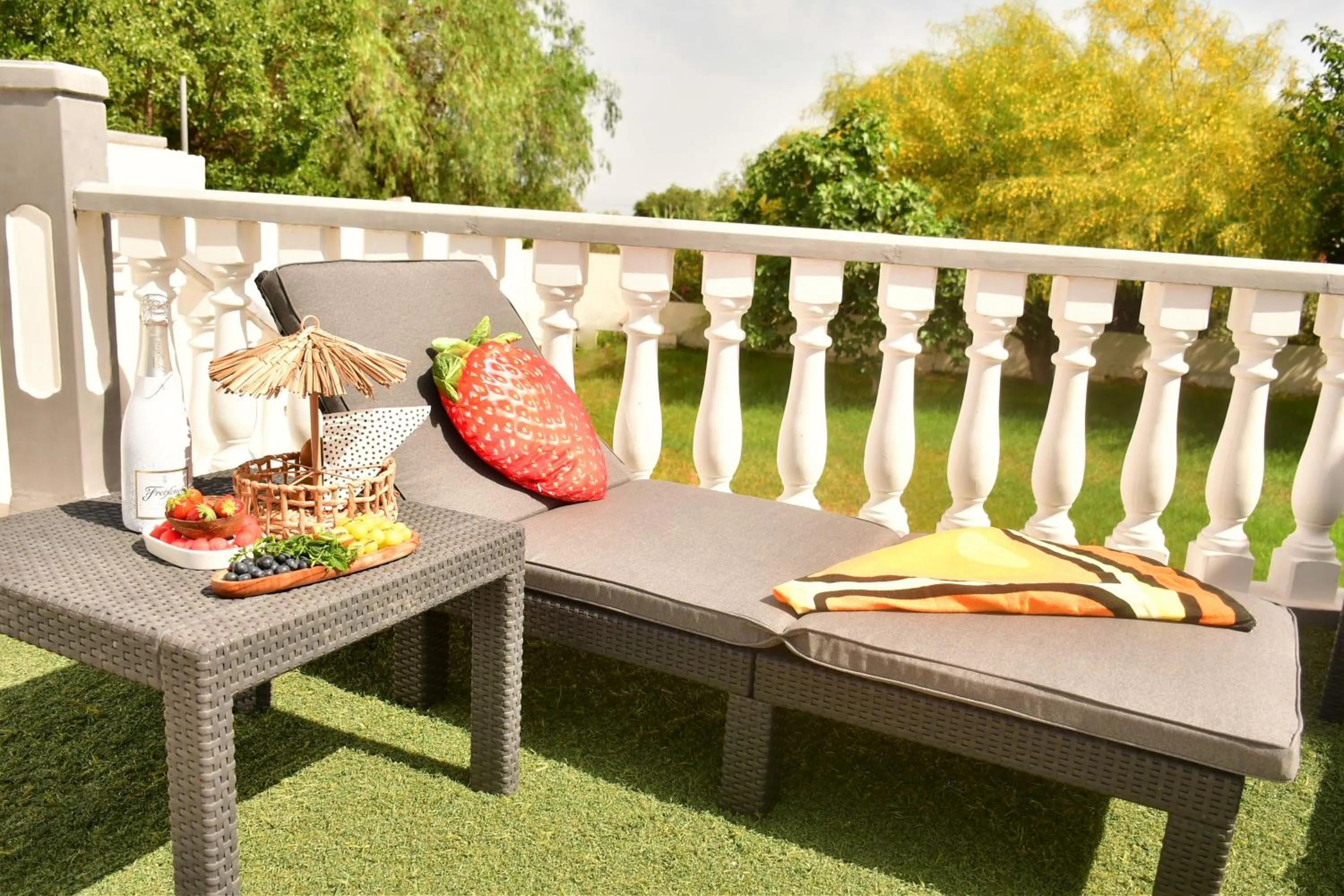 Day in Kiwidestiny Alicante