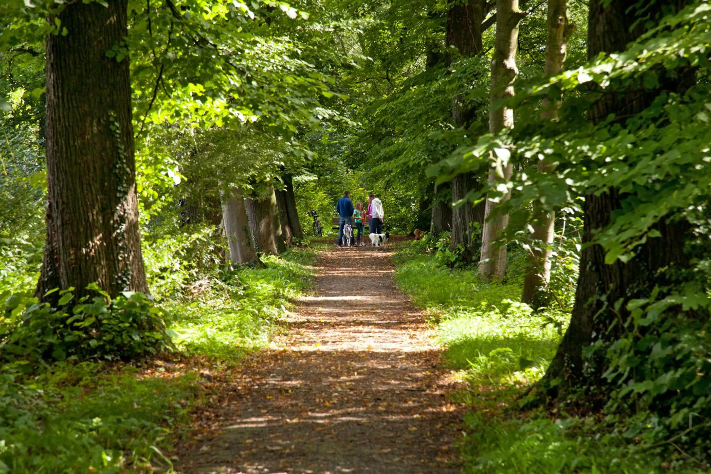 Area and facilities in Het Wapen van Harmelen