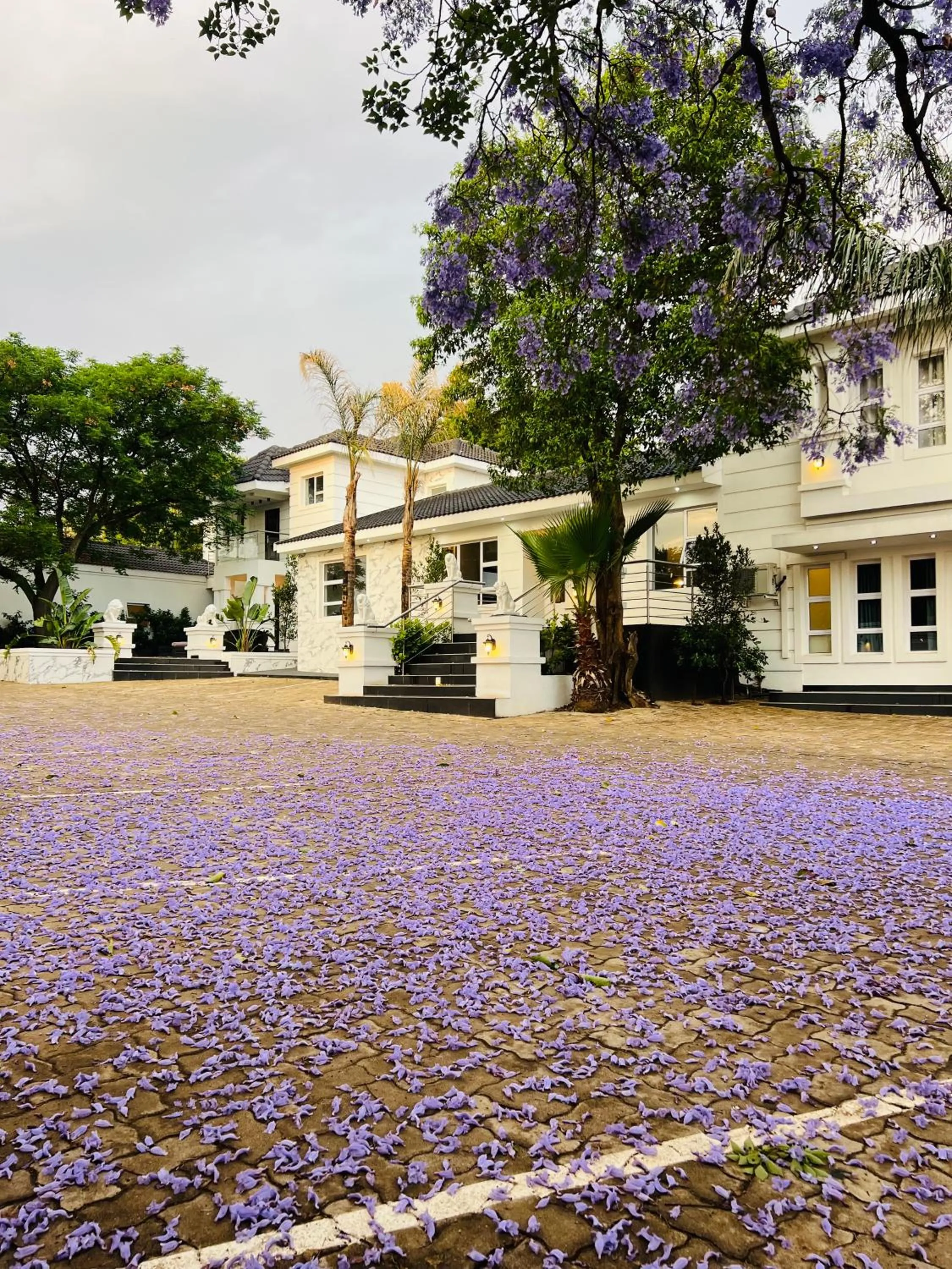 435 on vale boutique aparthotel