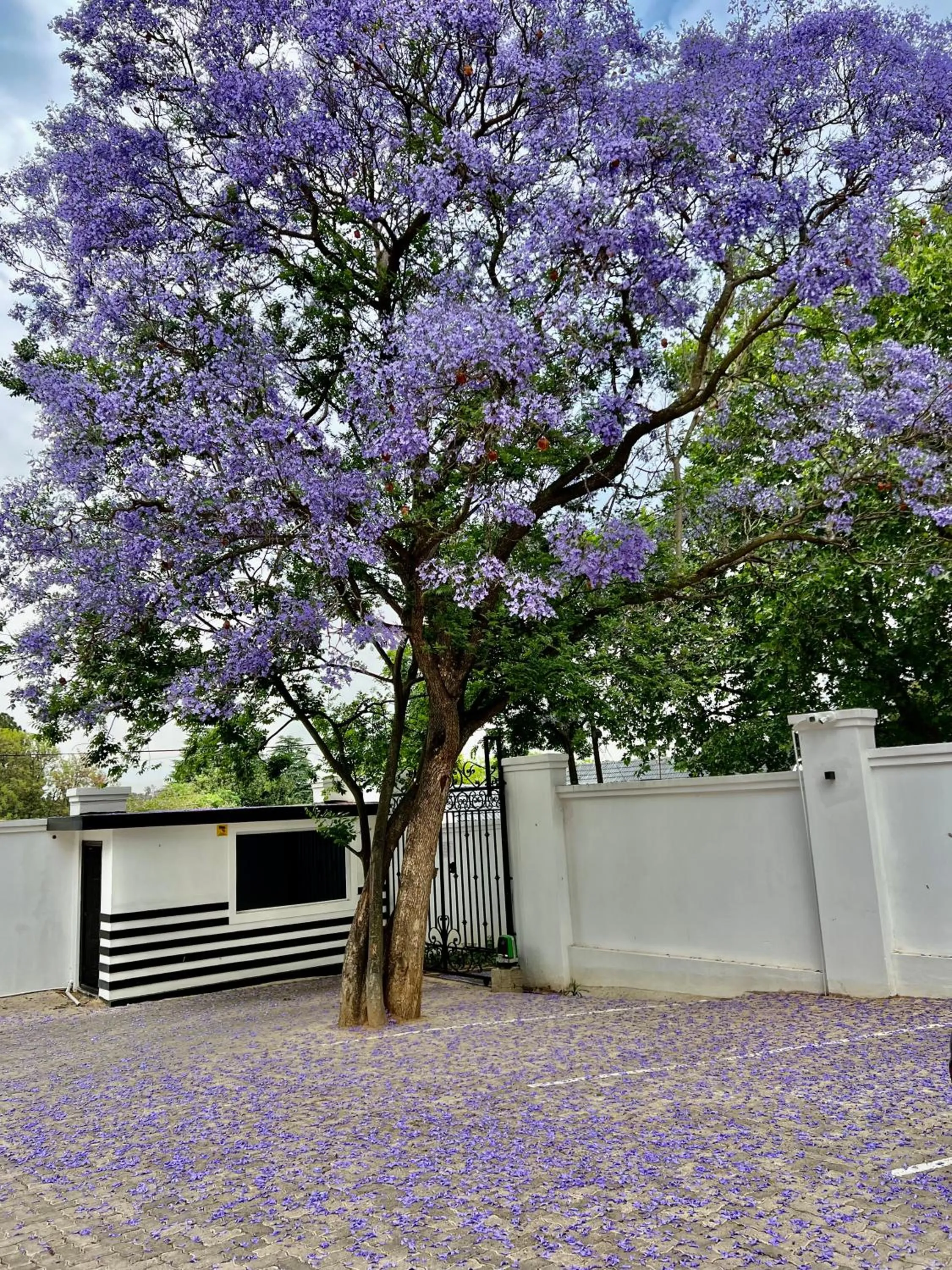 435 on vale boutique aparthotel