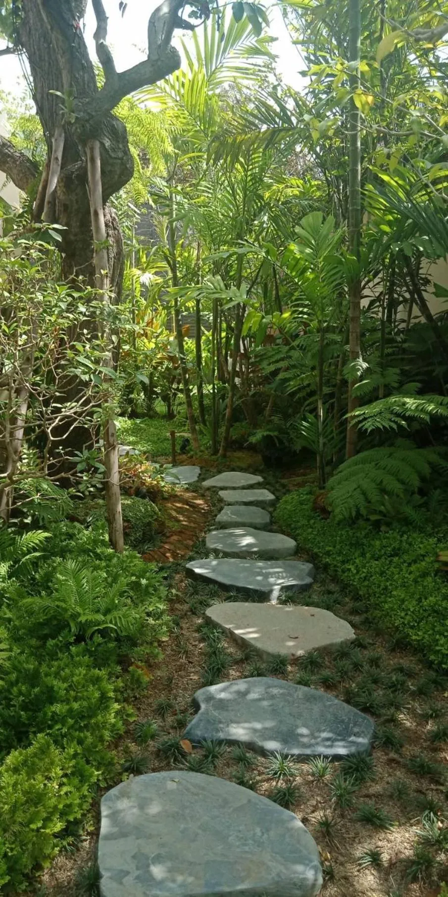 Natural landscape in Rarin Villas