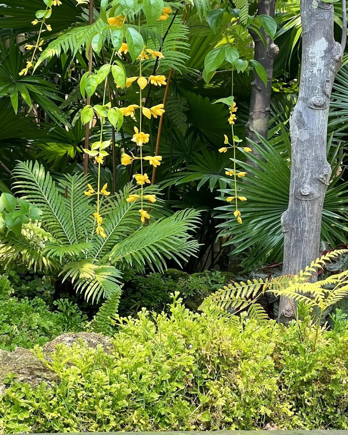 Spring in Rarin Villas