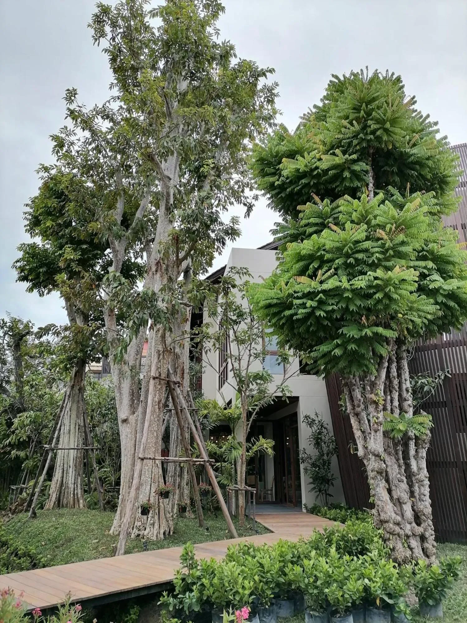 Spring in Rarin Villas