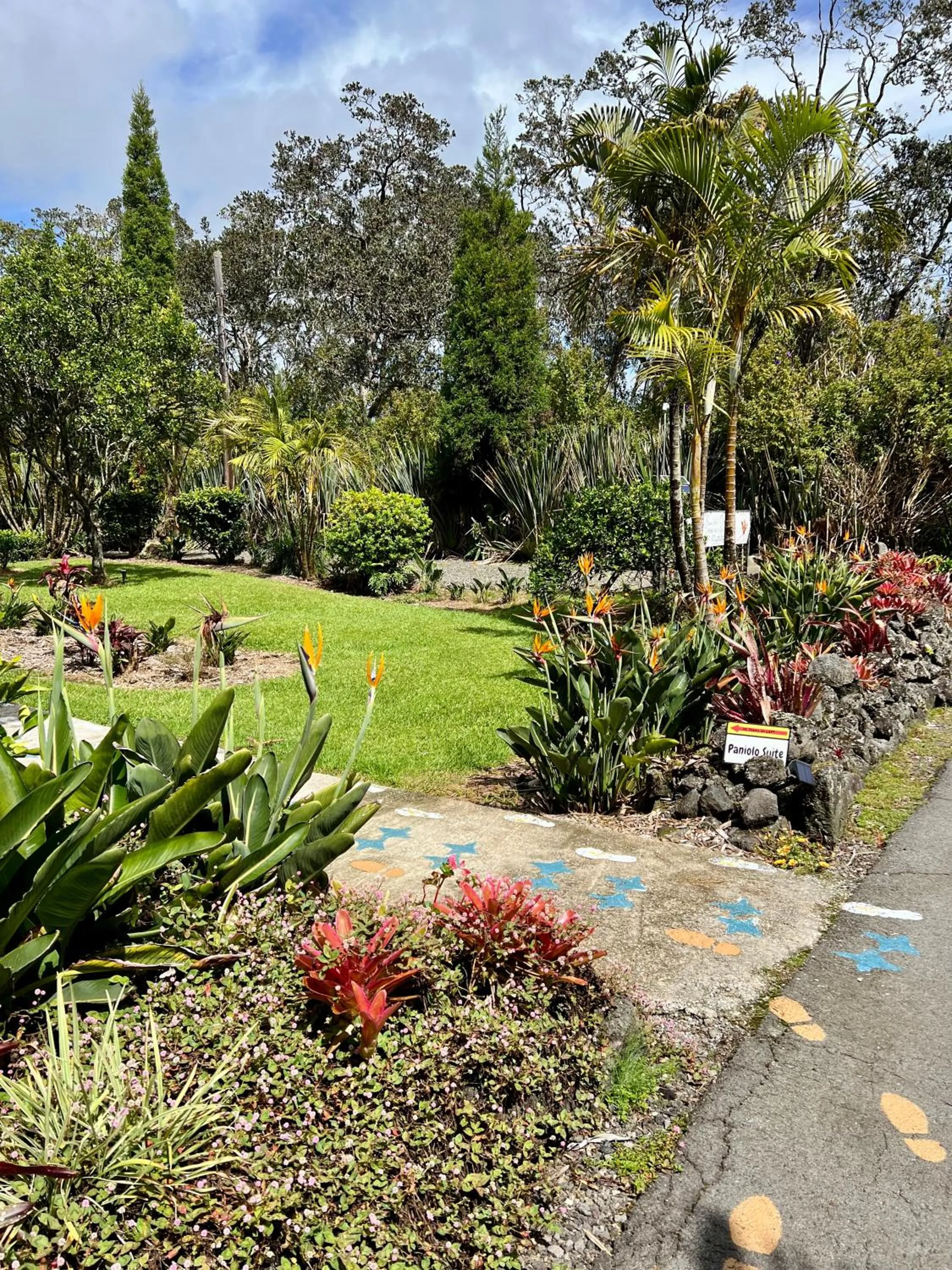 Aloha Junction Bed and Breakfast -Minutes away from Hawaii Volcanoes National Park