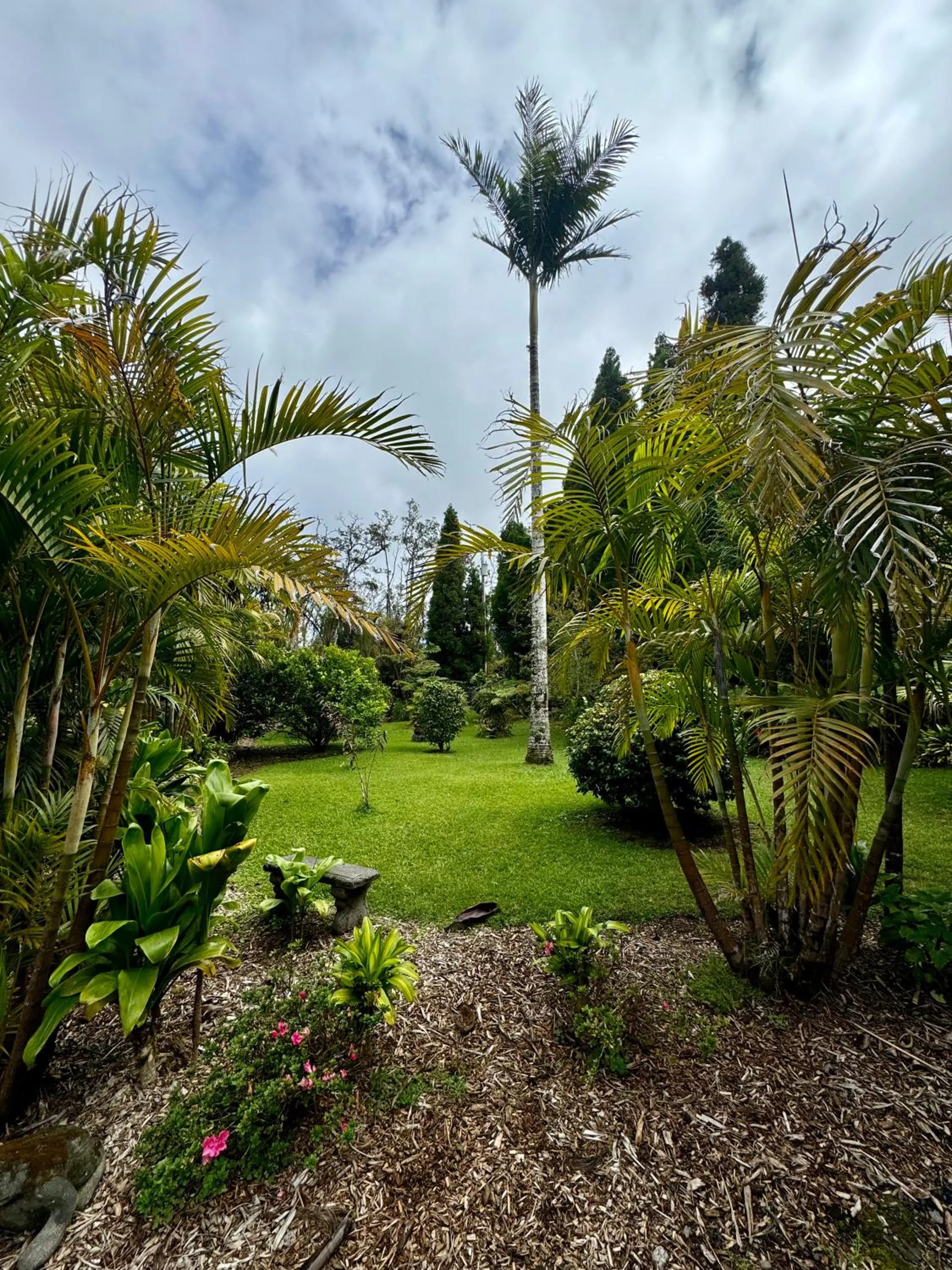Aloha Junction Bed and Breakfast -Minutes away from Hawaii Volcanoes National Park