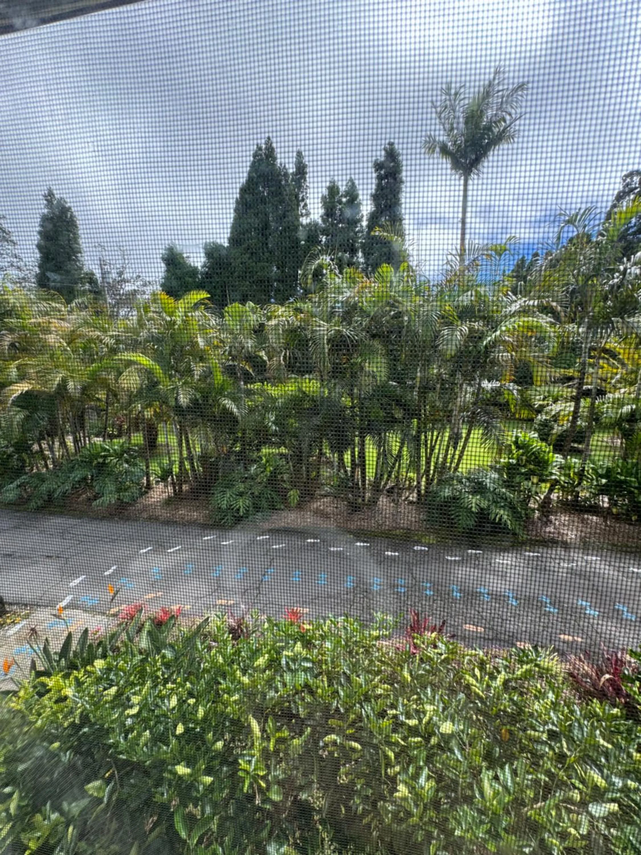 Aloha Junction Bed and Breakfast -Minutes away from Hawaii Volcanoes National Park