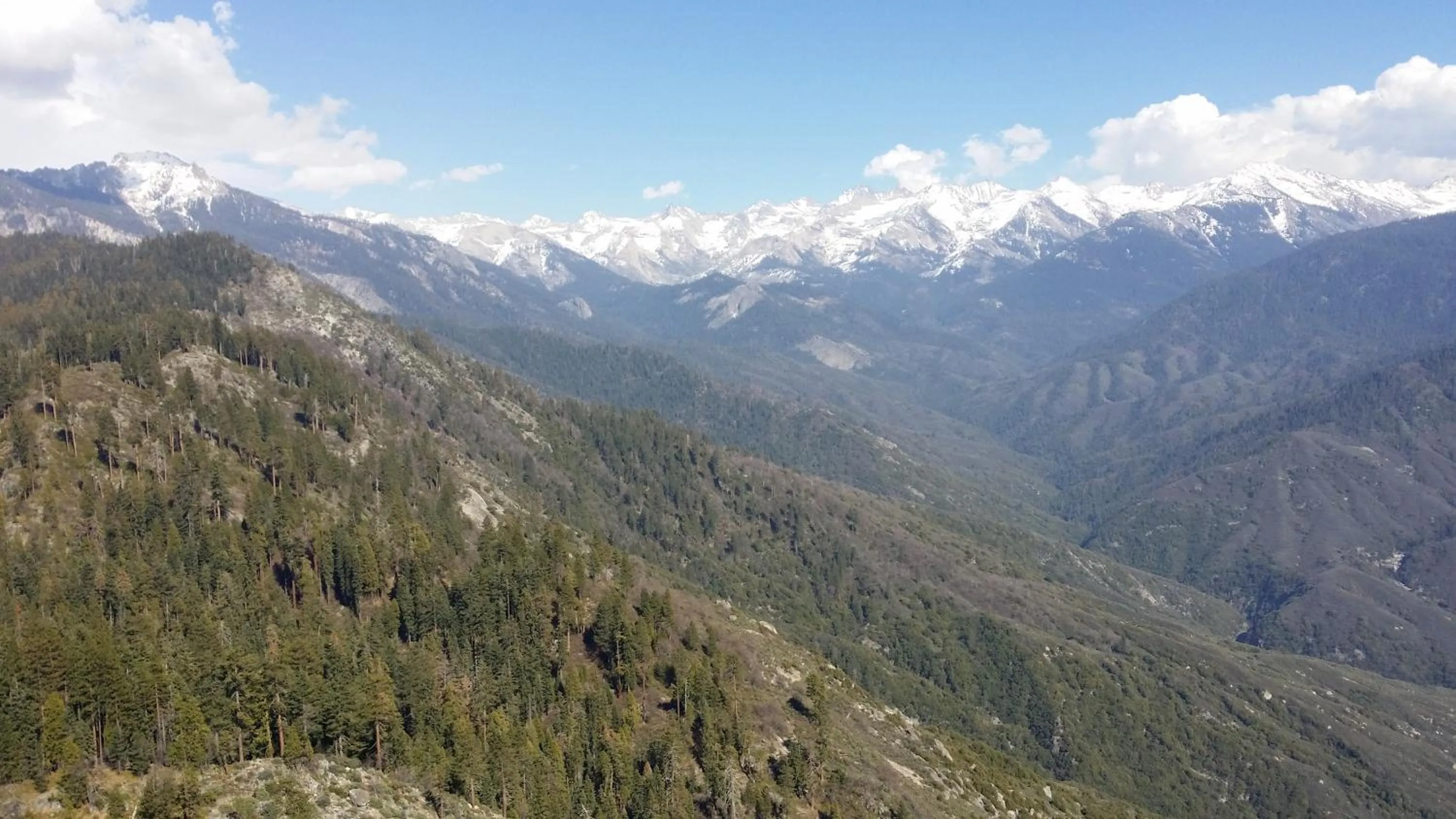 Summer in The River Inn