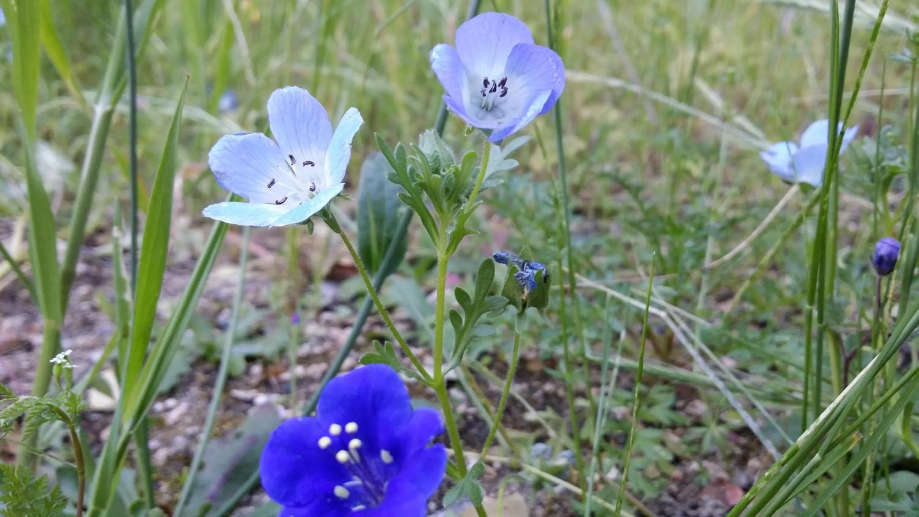 Spring in The River Inn