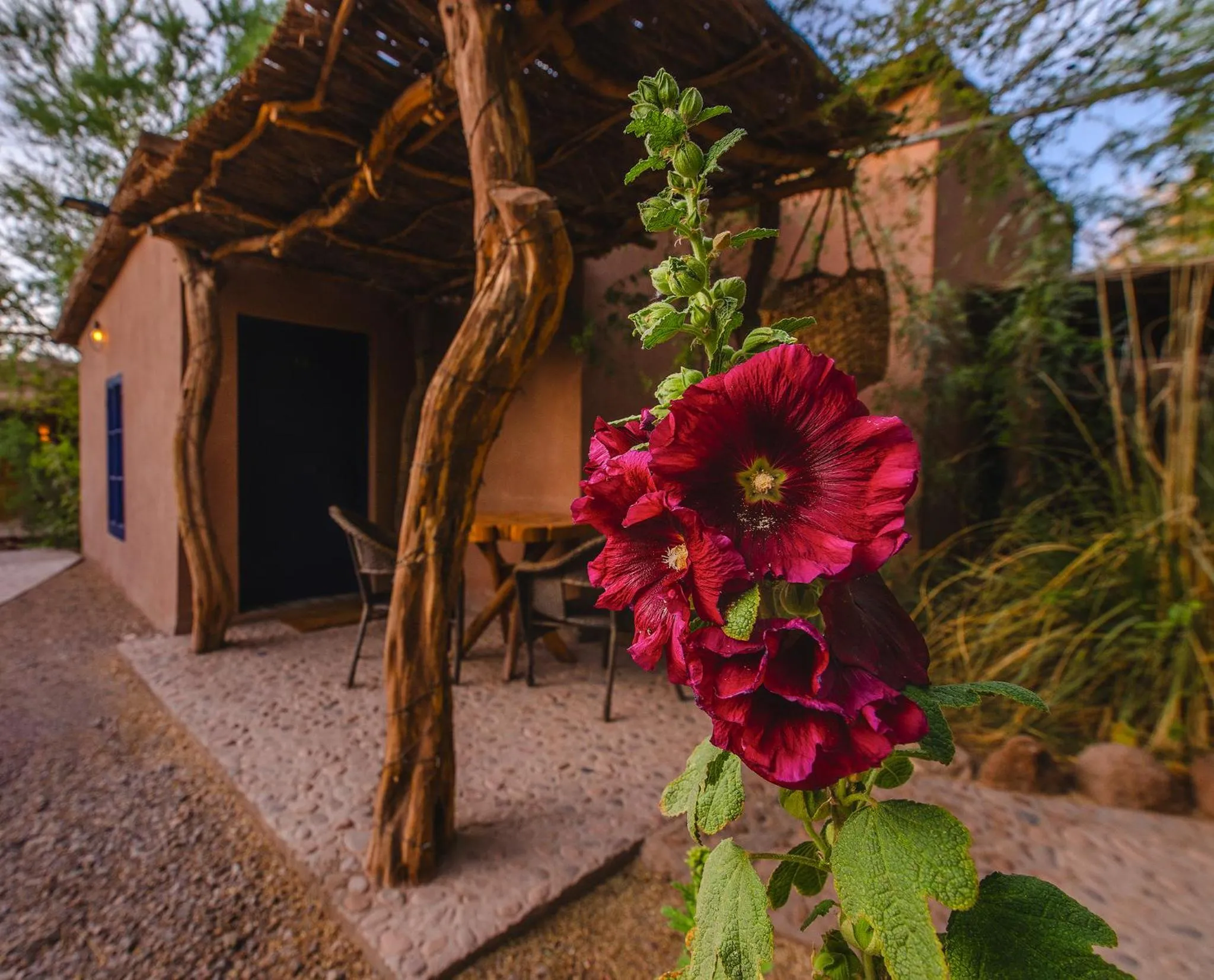 Ckoi Atacama Lodge