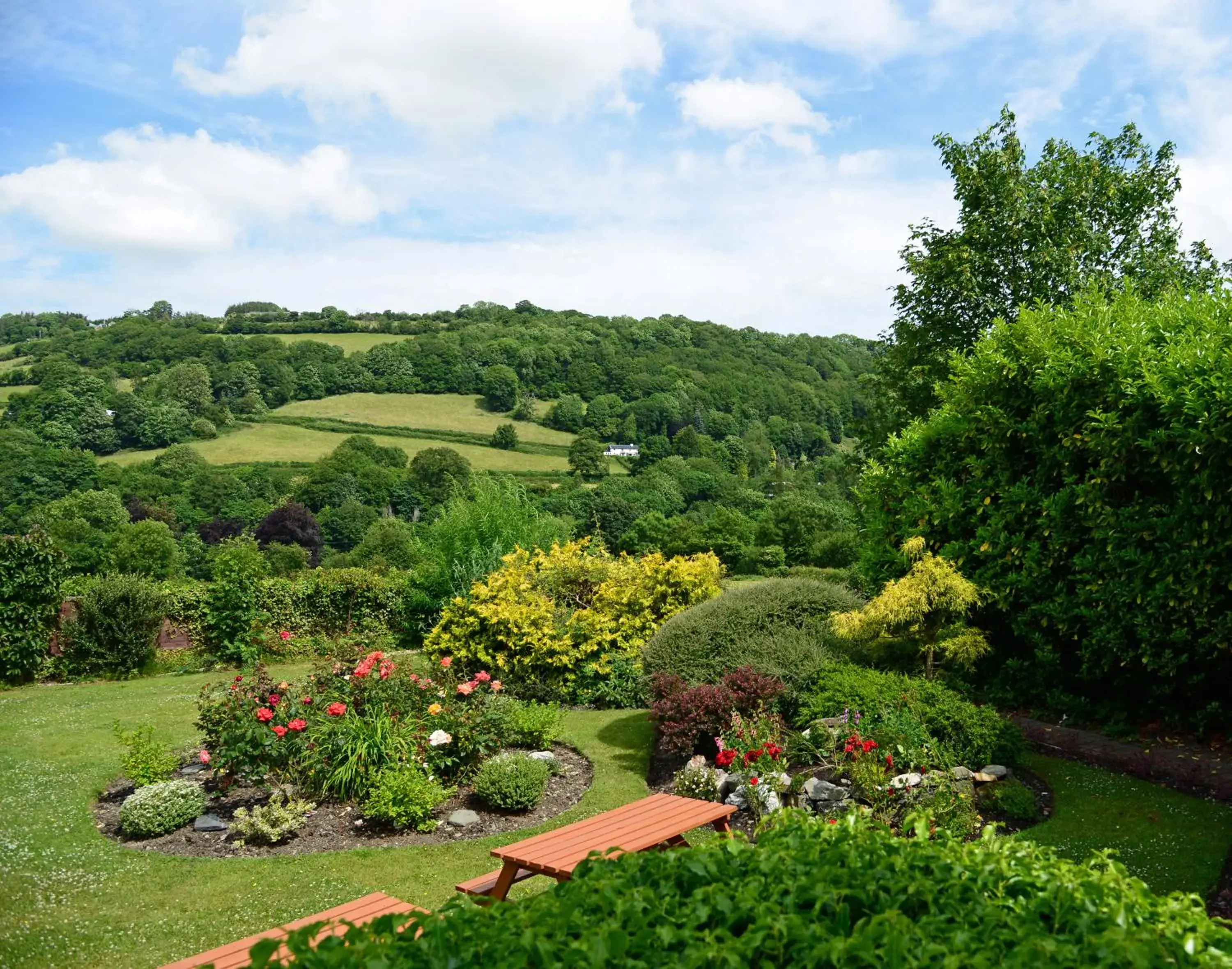 King Double Room in The Mulberry Inn King Double Room in The Mulberry Inn