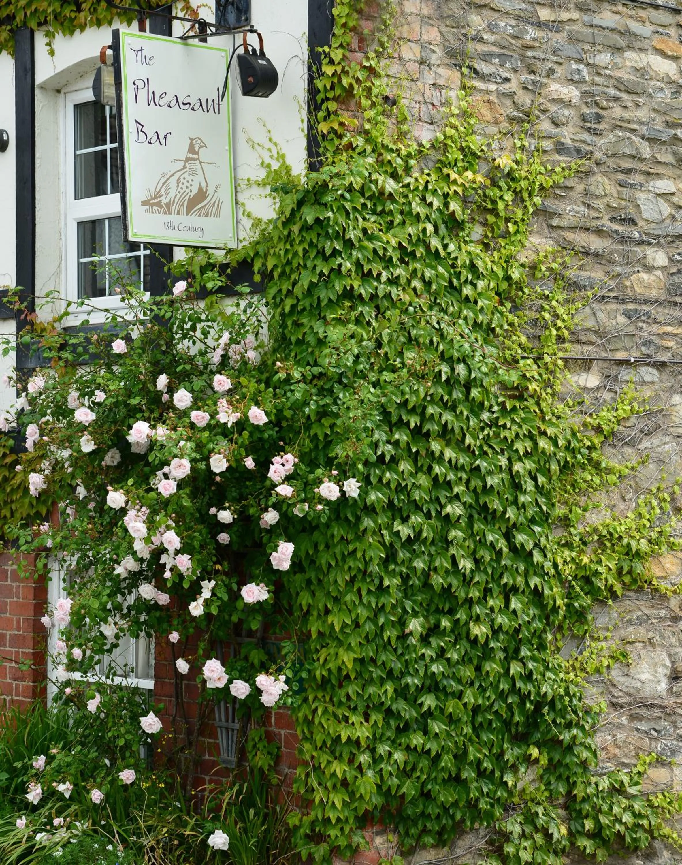 Facade/entrance in The Mulberry Inn