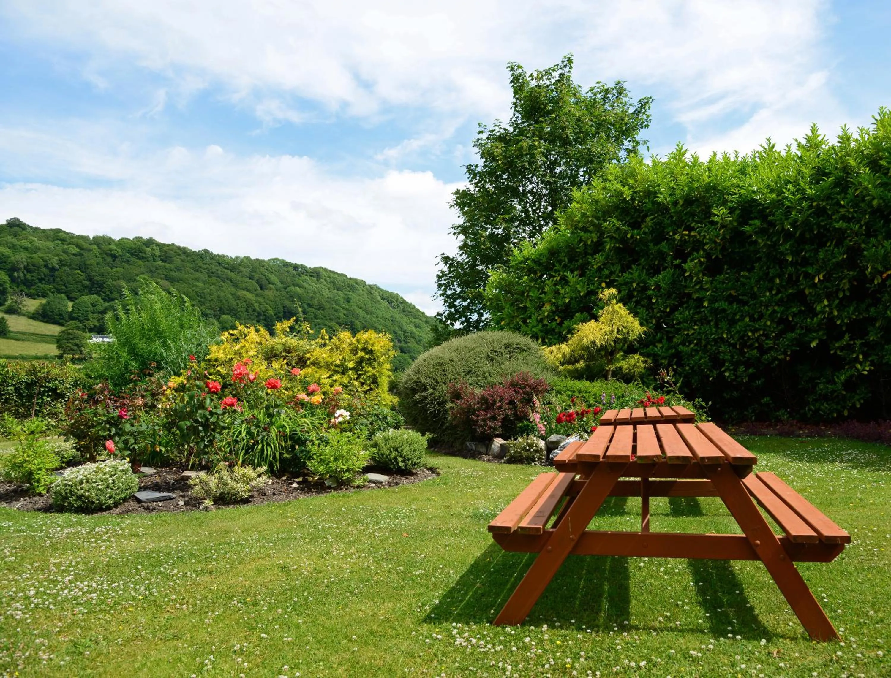 Garden in The Mulberry Inn