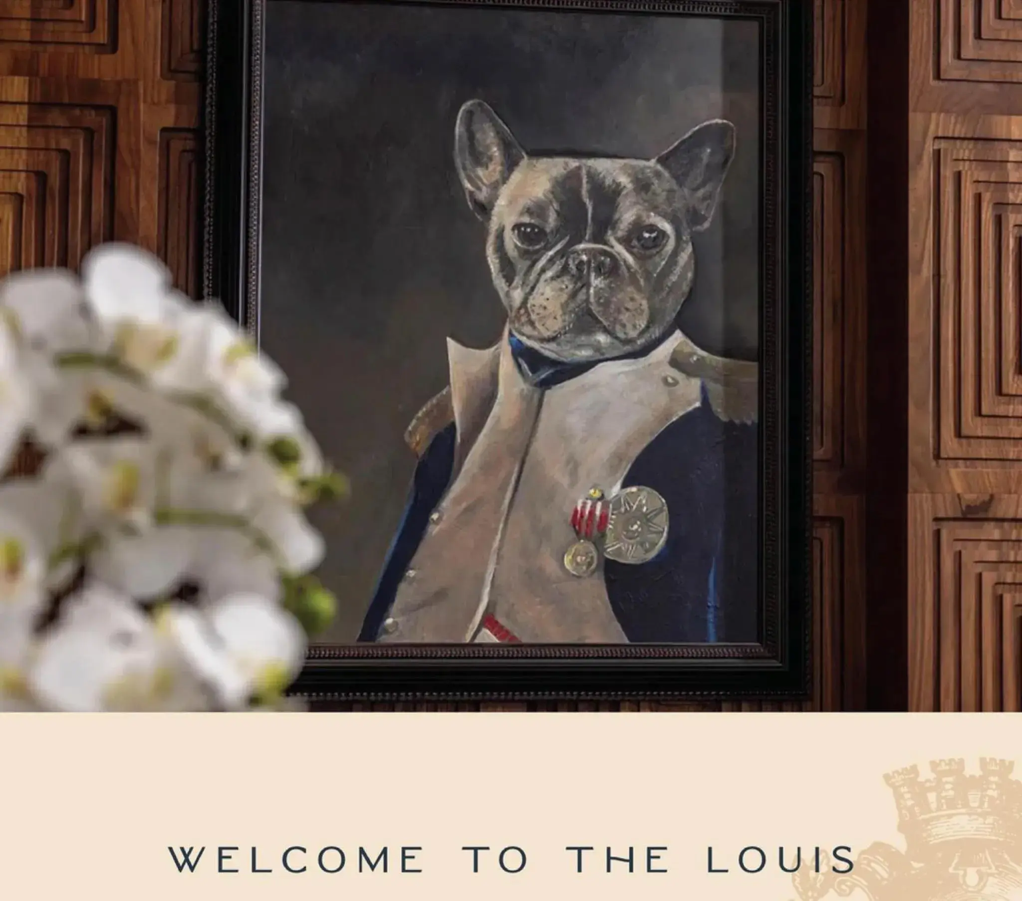 Lobby or reception in The Louis Hotel Lobby or reception in The Louis Hotel