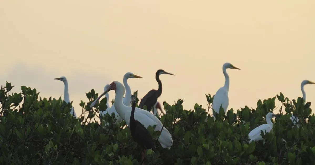 Activities in Résidence Le Marlodj