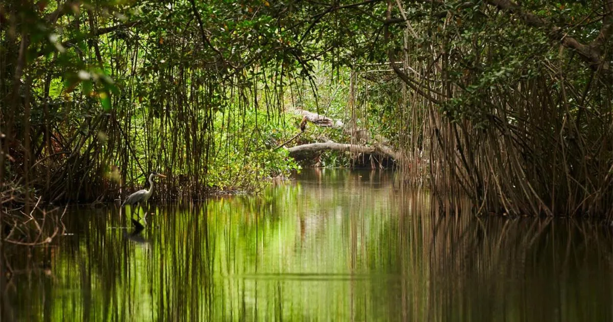 Natural landscape in Résidence Le Marlodj