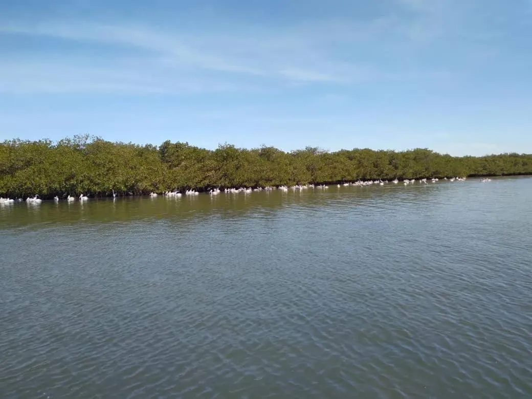 River view in Résidence Le Marlodj