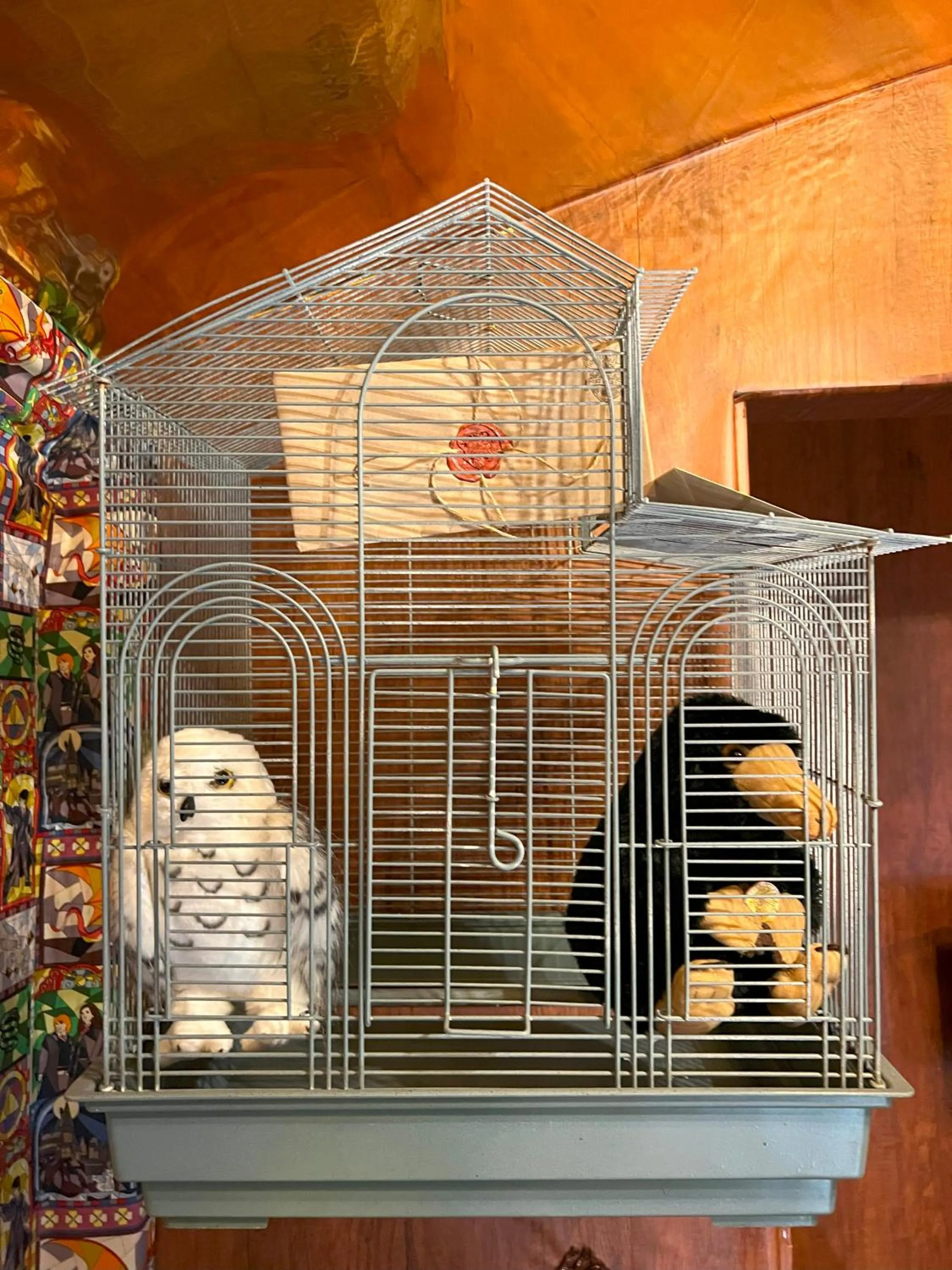 Animals in Magical Castle Near Theme Parks