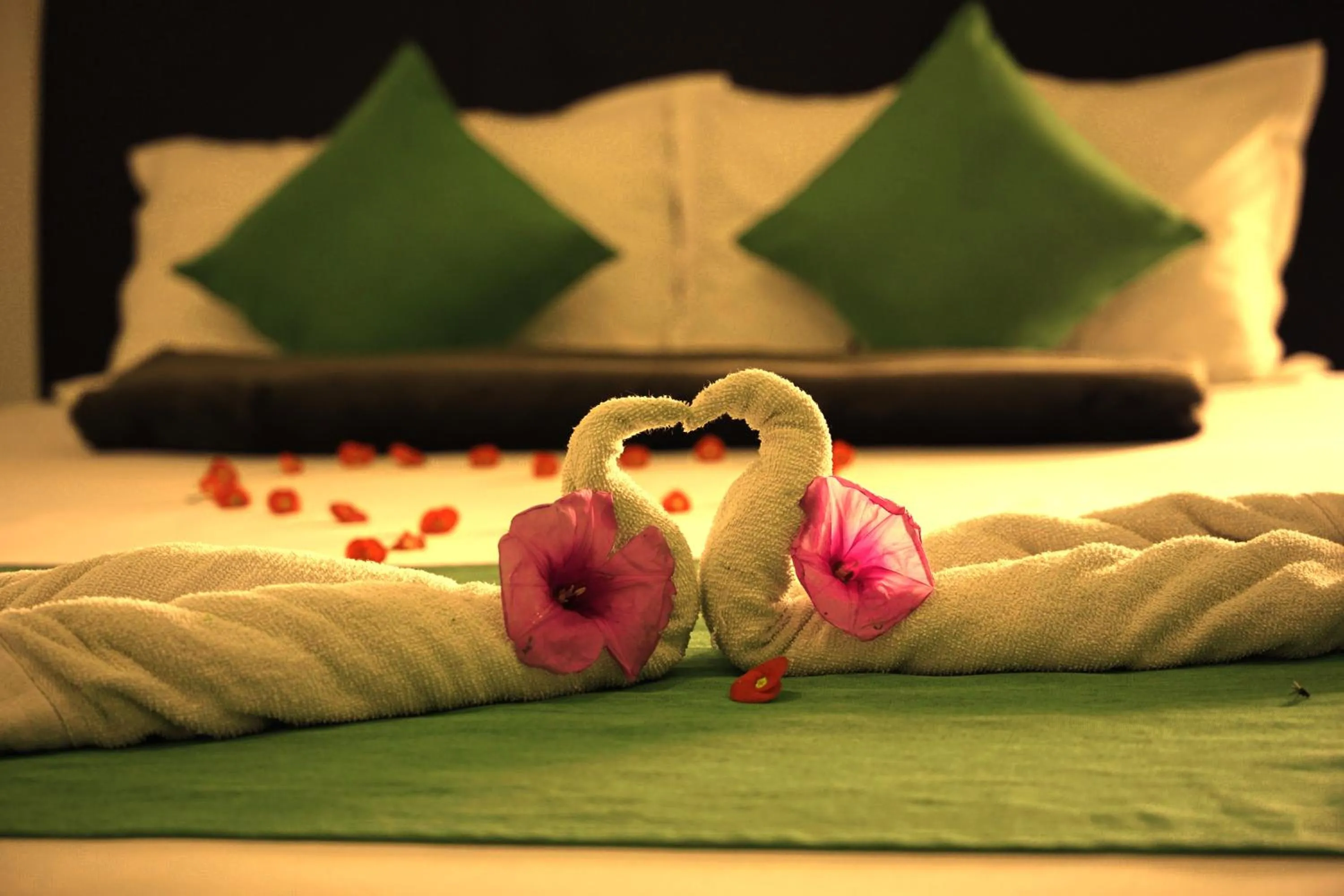 Bed in Palm Beach Resort Ceylon