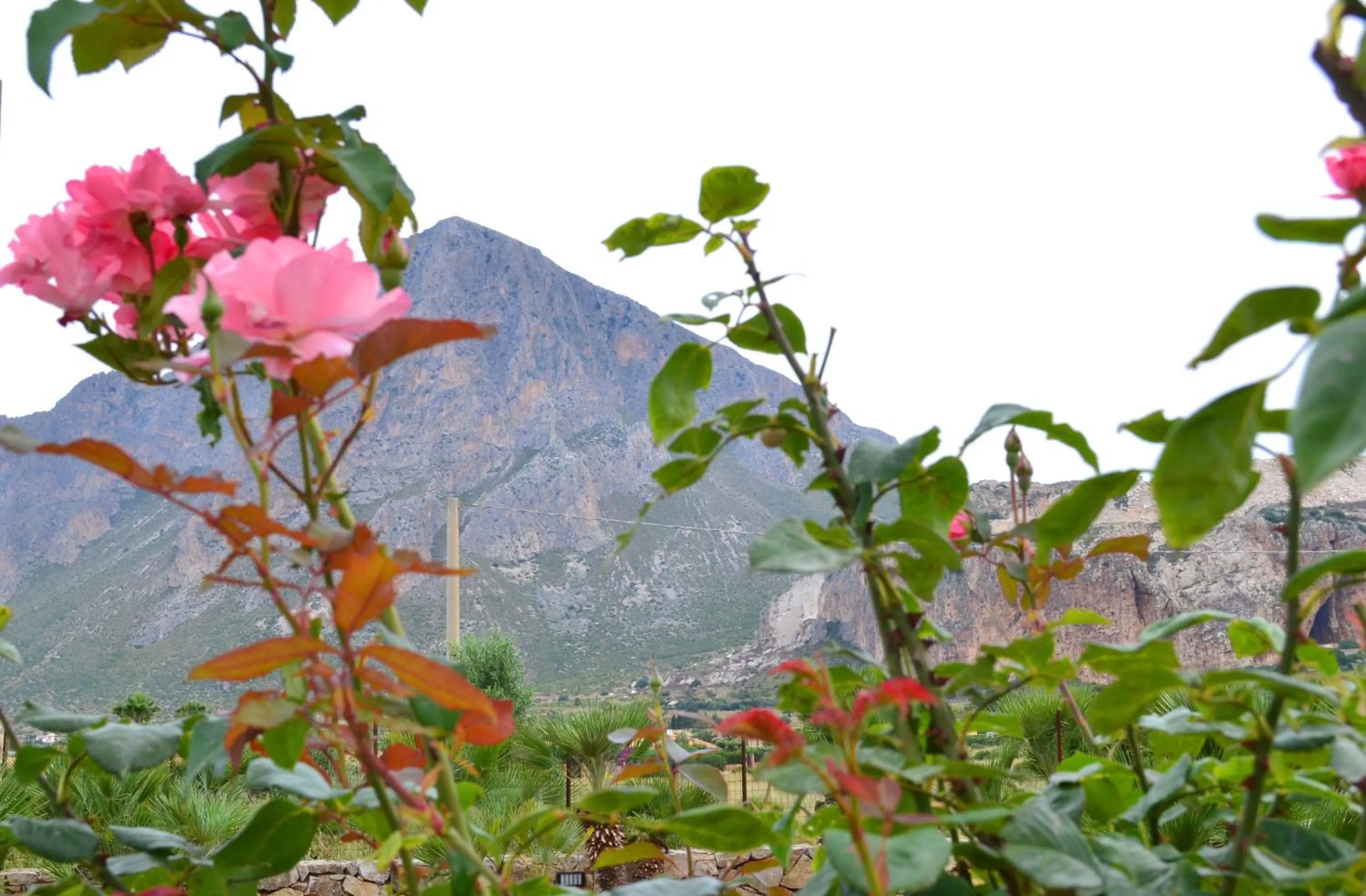Natural landscape in HOTEL Cala Buguto