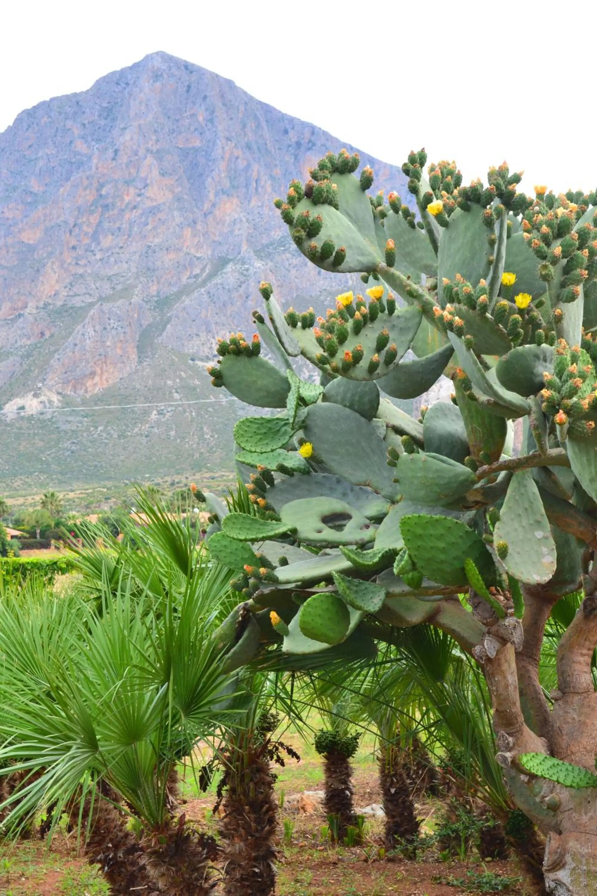 Day in HOTEL Cala Buguto