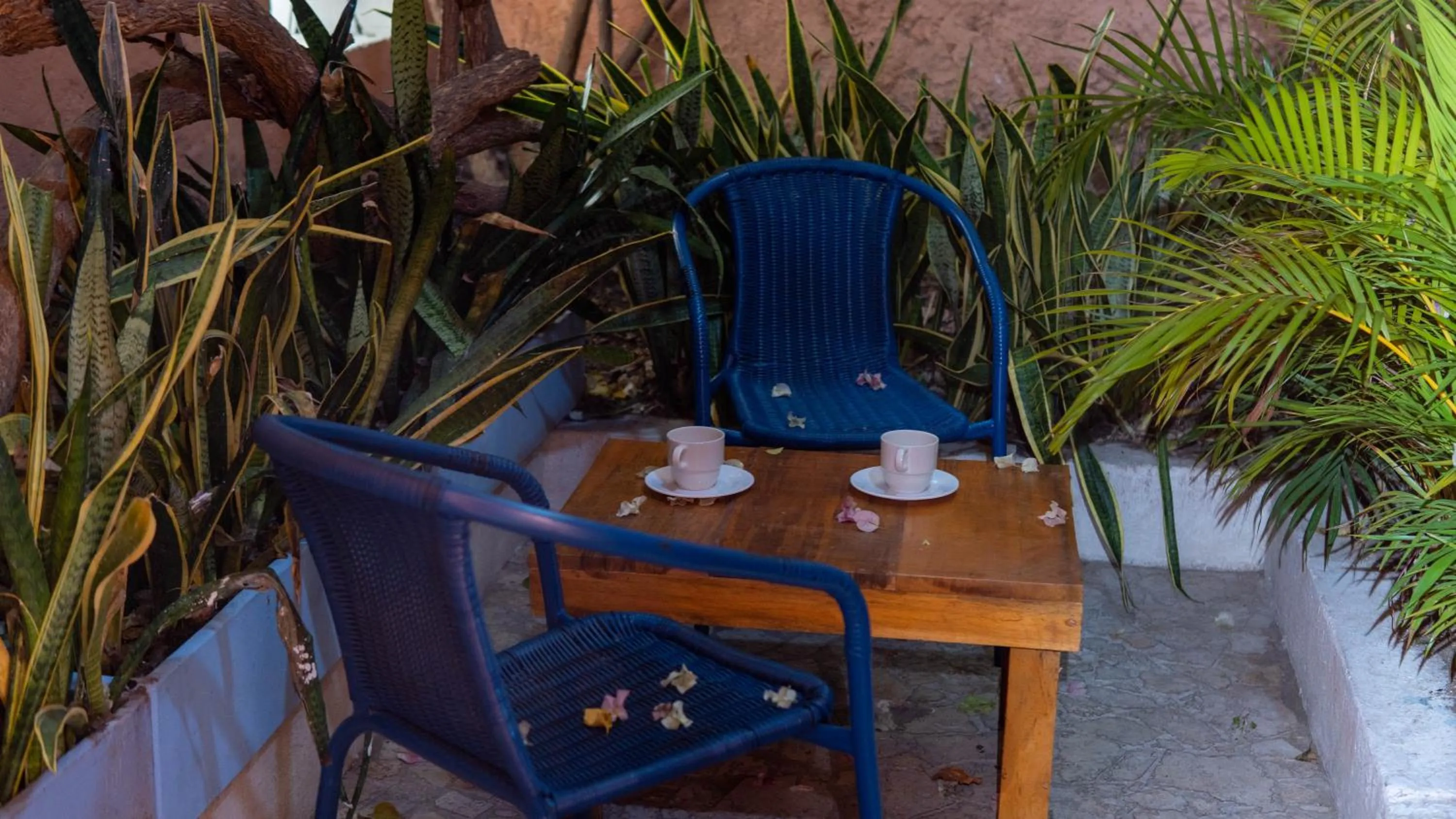 Balcony/Terrace in La Puerta Azul