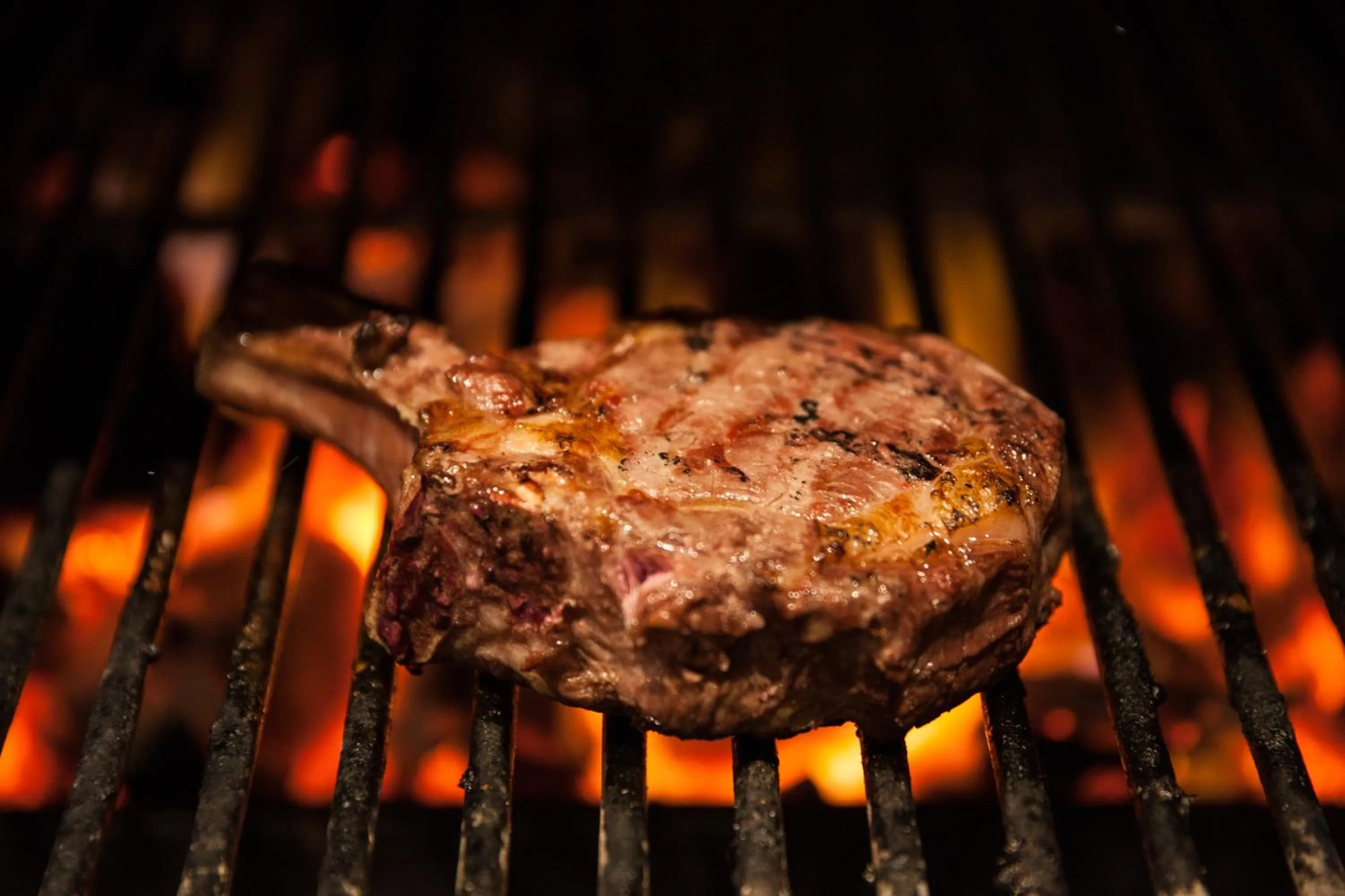 Food and drinks in Hotel Parkzicht