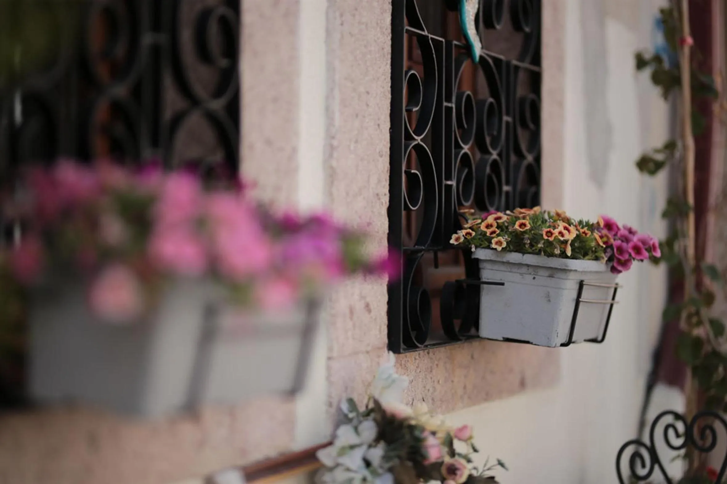 Ayvalık Palacitta Guesthouse