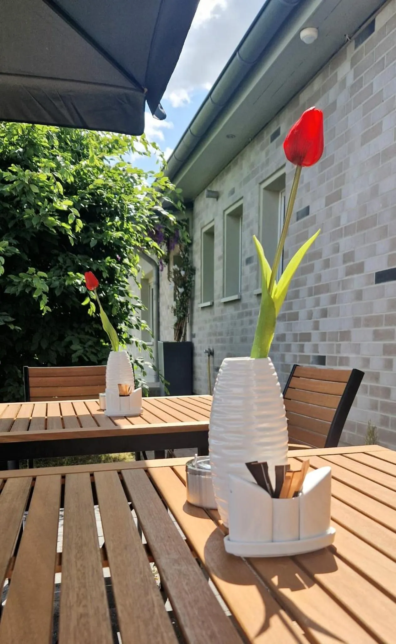 Patio in Hotel Rhin Inn