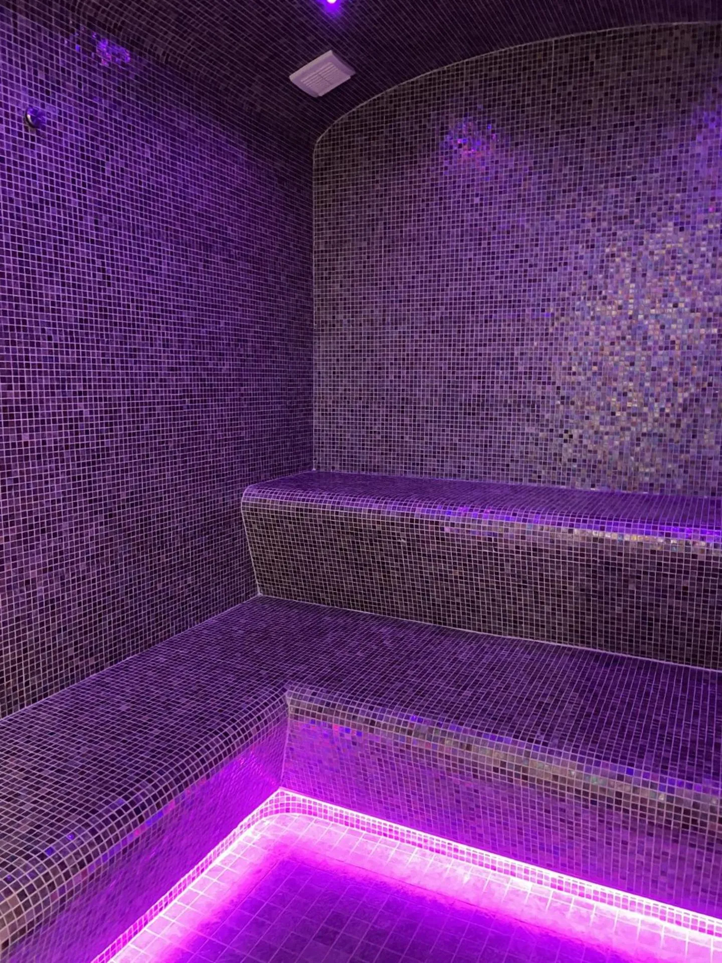 Steam room in Hôtel de la Roche