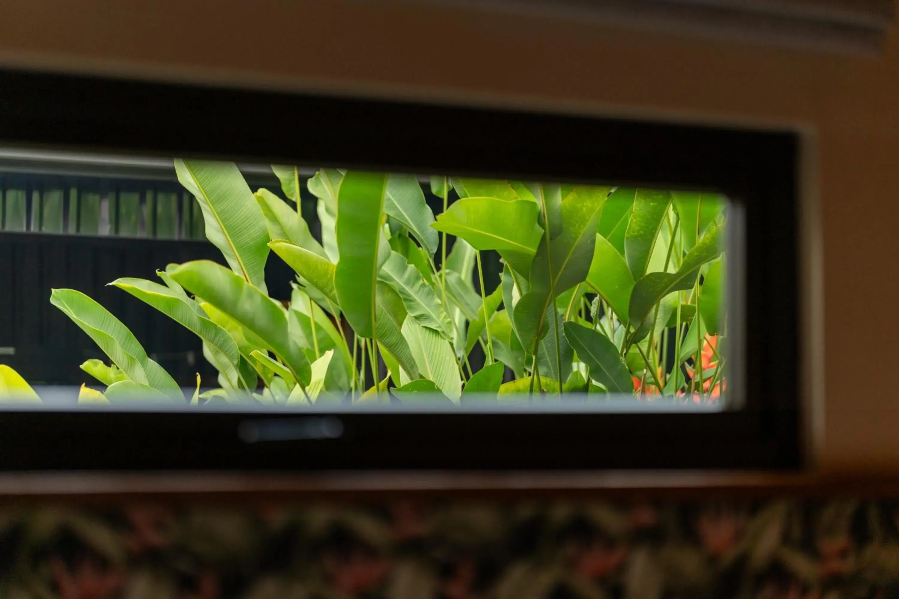 Garden view in Suwa Villa Arenal Garden view in Suwa Villa Arenal