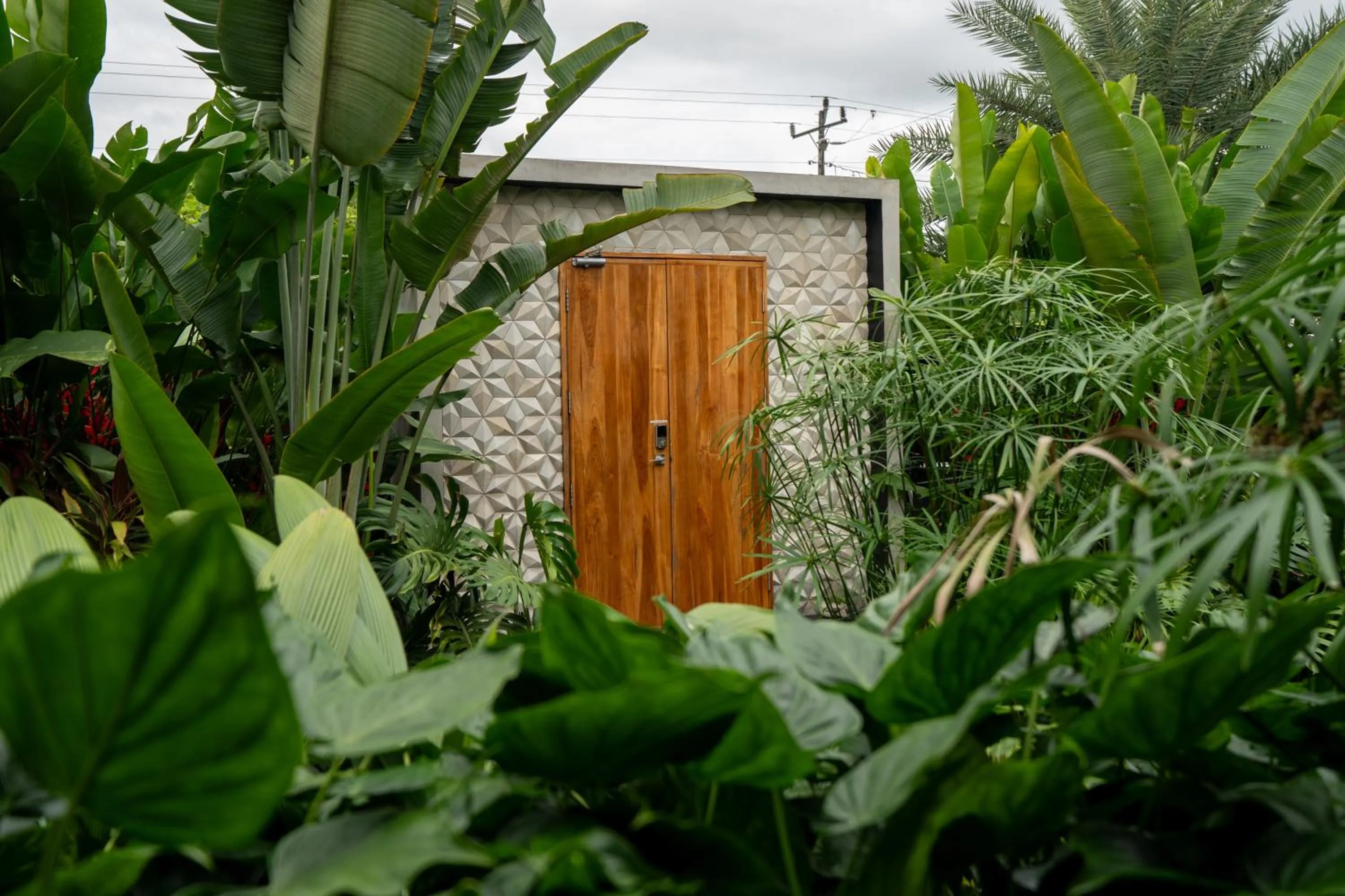 Garden in Suwa Villa Arenal