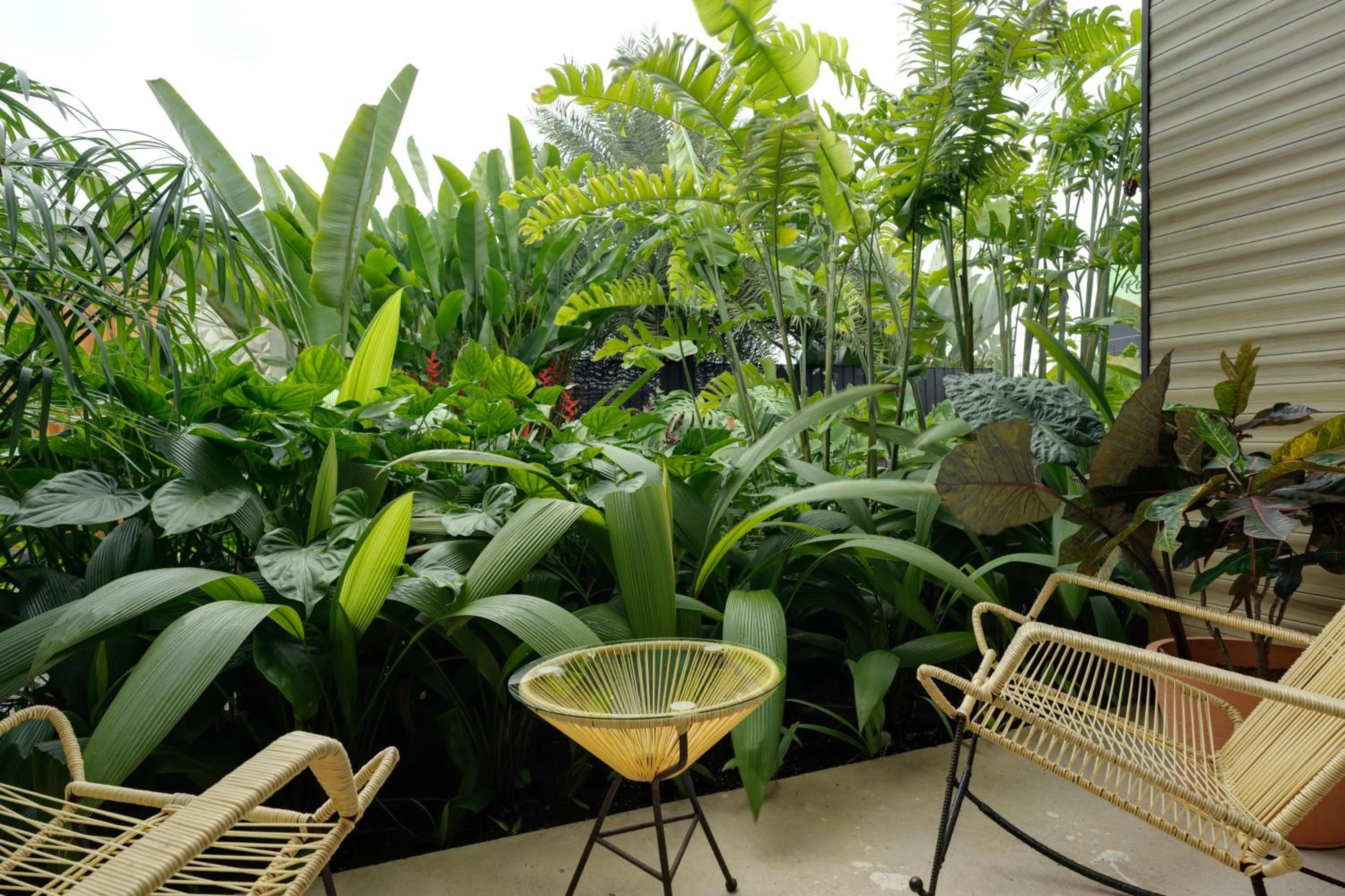 Garden in Suwa Villa Arenal