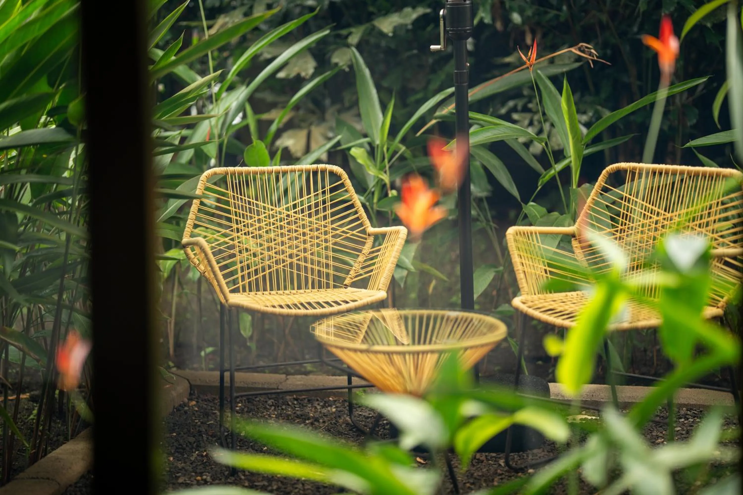 Garden in Suwa Villa Arenal