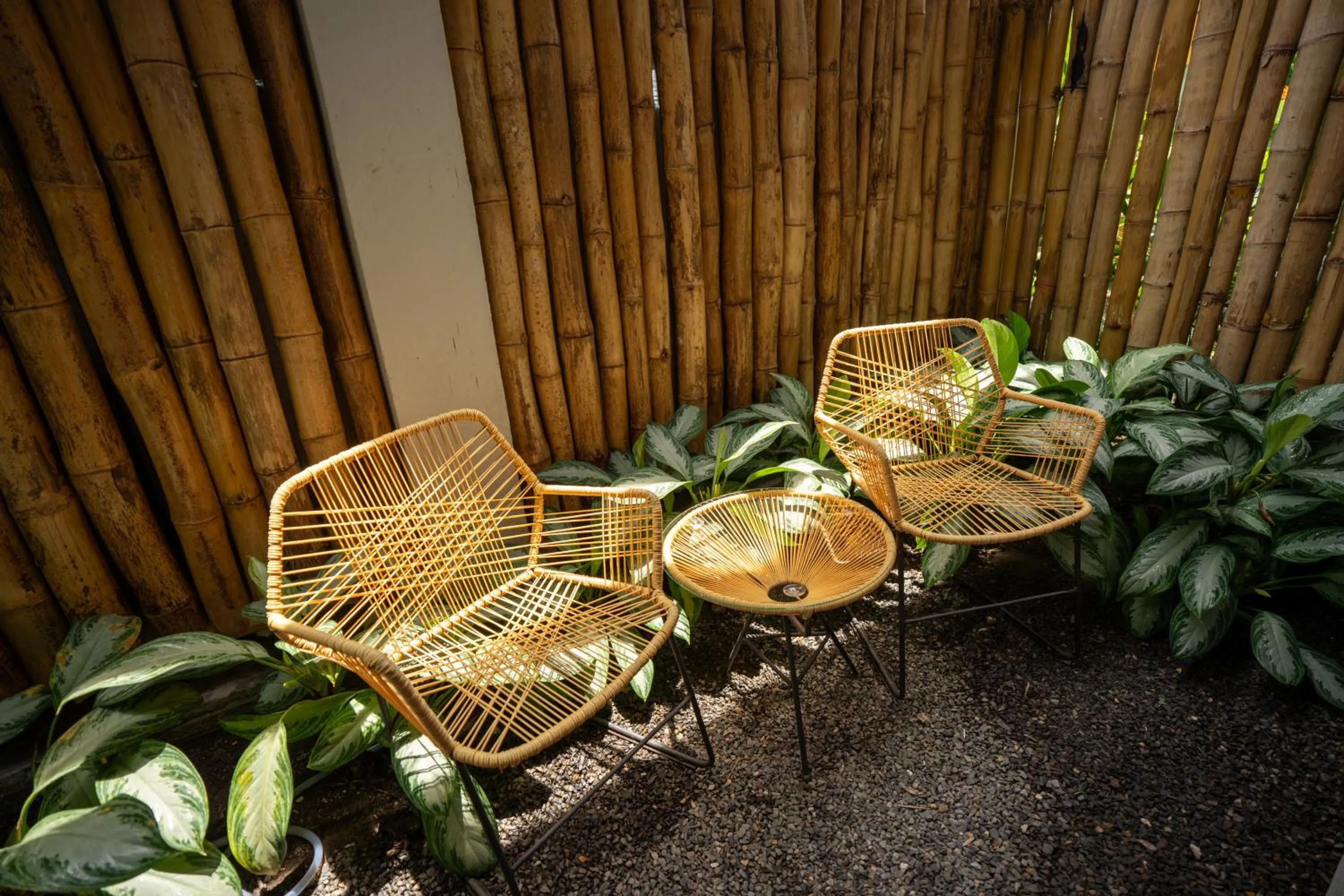 Garden in Suwa Villa Arenal